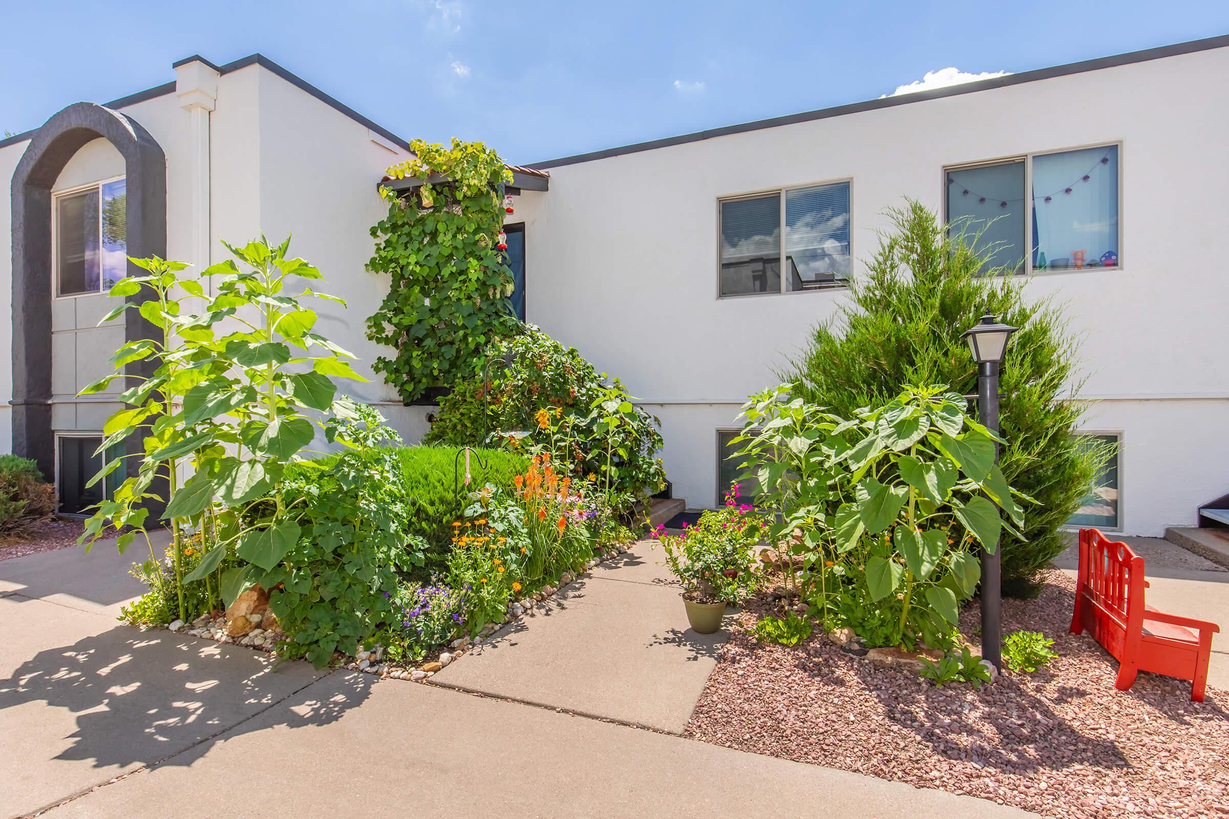 A well-maintained garden in front of a white building, featuring vibrant flowers, green shrubs, and tall sunflowers. A red chair is positioned on the path, which is lined with small pebbles. The sky is bright blue with a few clouds, creating a cheerful atmosphere.