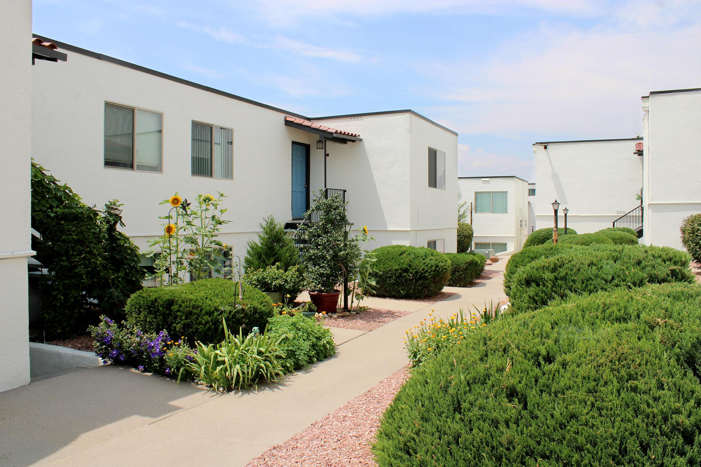 a house with bushes in front of a building