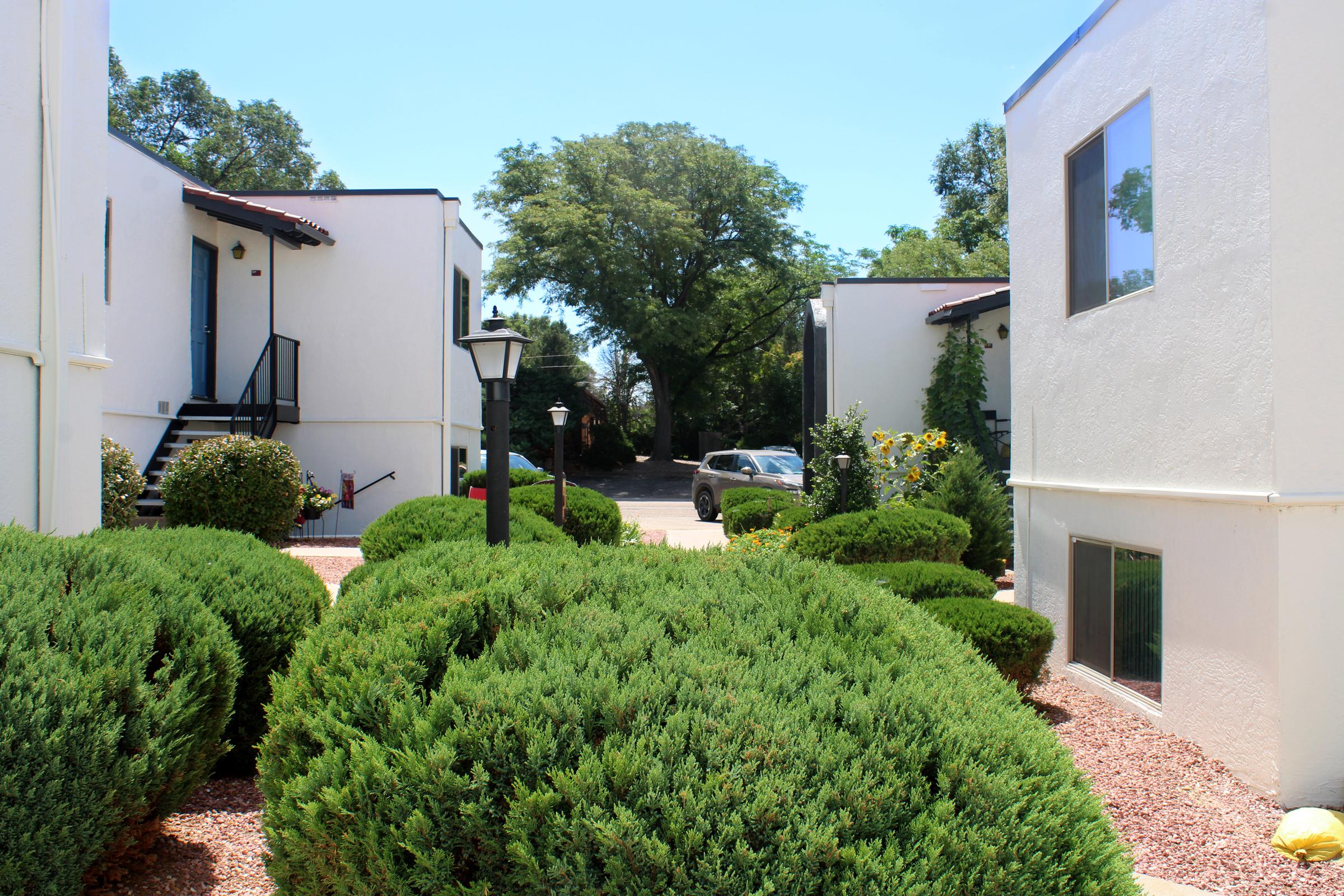 a house with bushes in front of a building