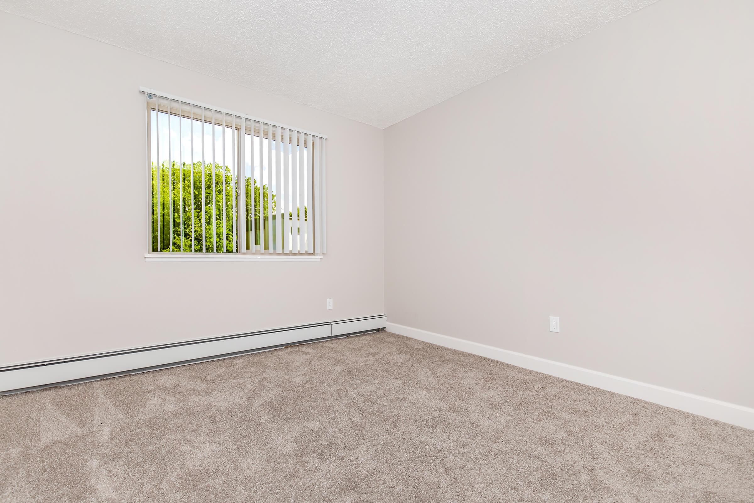 A vacant room with light beige walls and plush gray carpet. It features a window with vertical blinds, letting in natural light and offering a view of greenery outside. The room appears spacious and uncluttered, suitable for various uses.