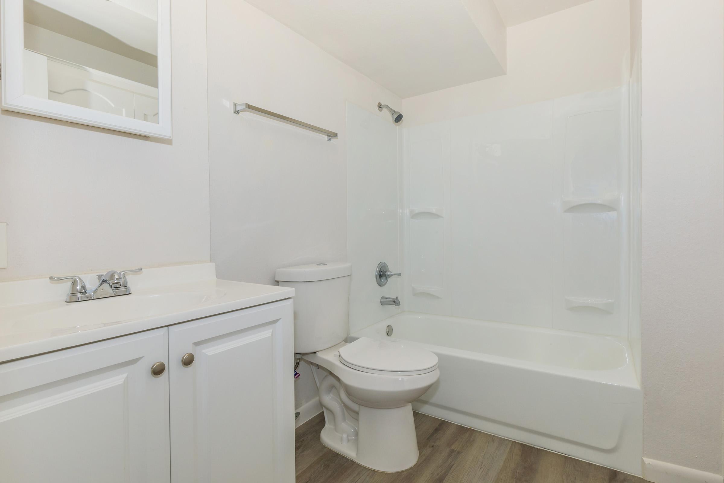 a shower that has a sink and a mirror