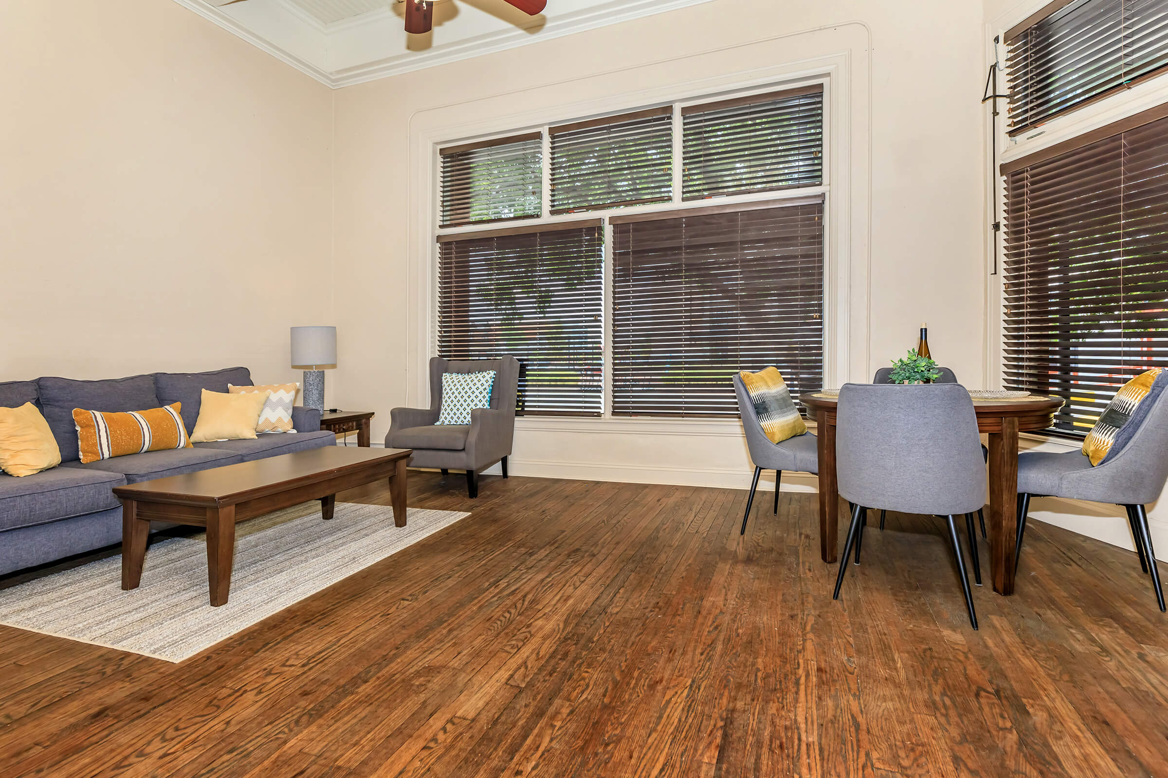 Apartment Features