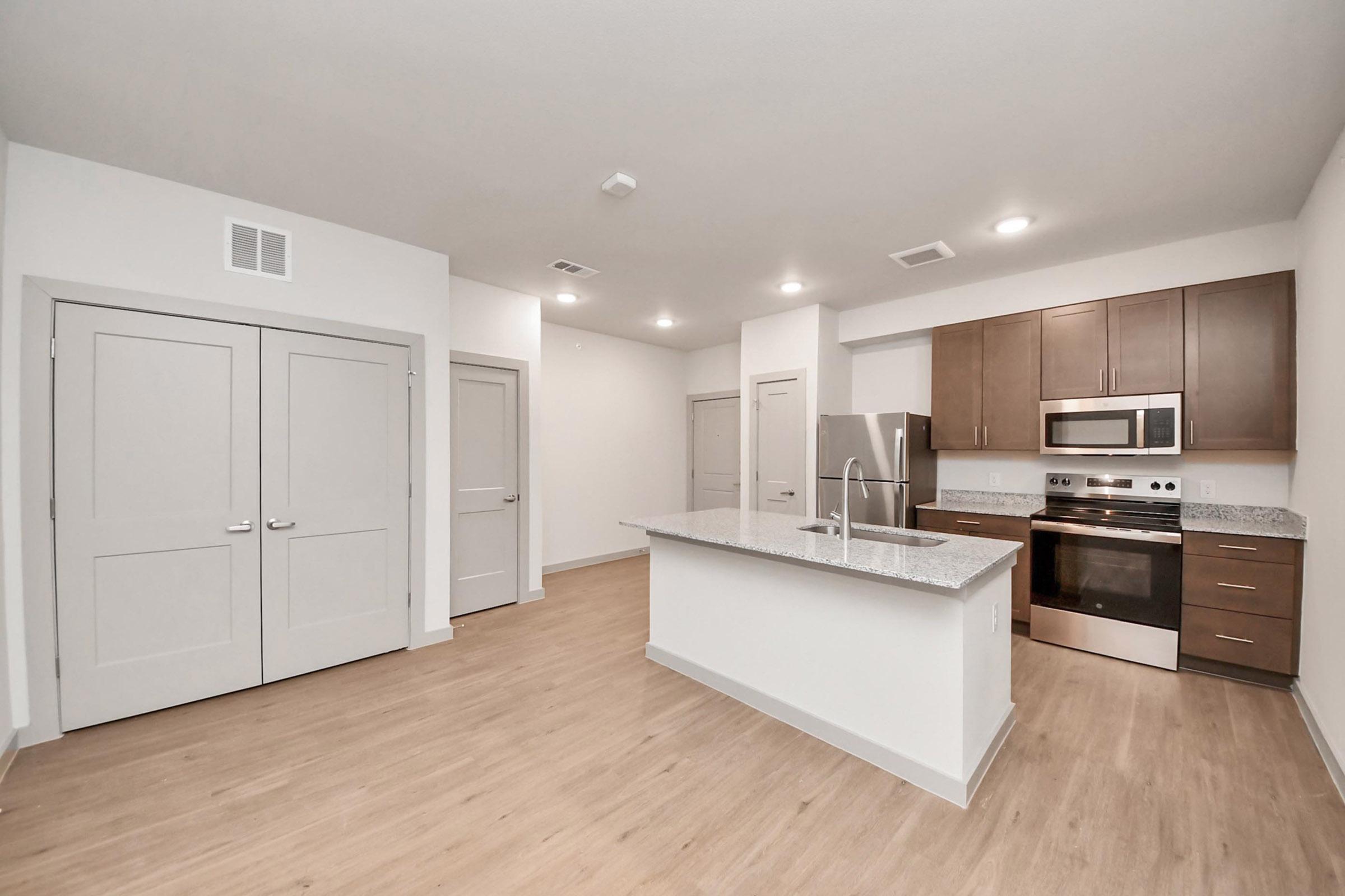 Modern open-concept kitchen and living area featuring light wood flooring, stainless steel appliances, granite countertops, and sleek wooden cabinets. The space includes double doors leading to a closet or utility room and has ample natural light. Neutral color palette enhances the spacious atmosphere.