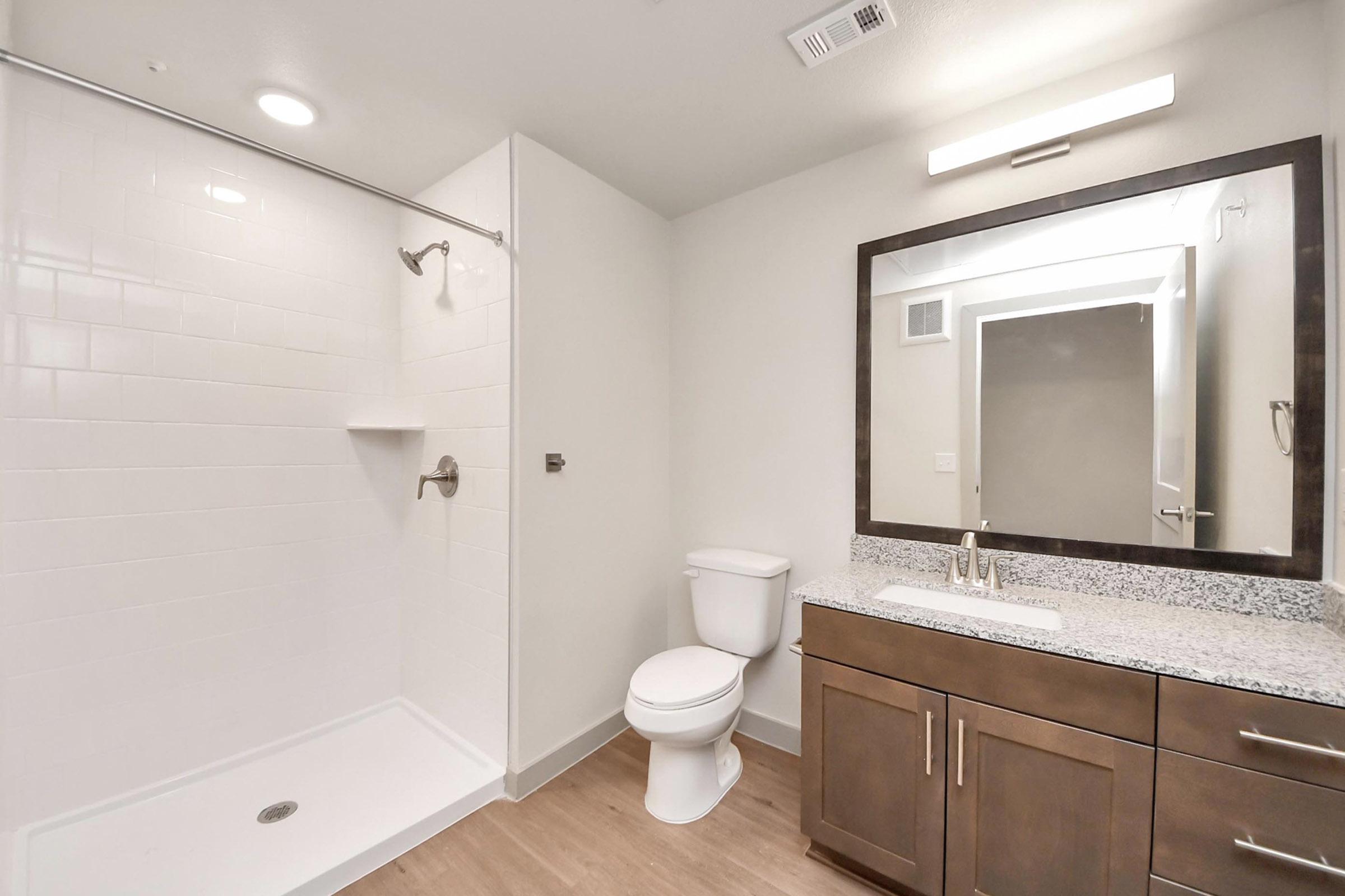 A modern bathroom featuring a walk-in shower with a glass door, a white toilet, and a wooden vanity with a granite countertop. The walls are painted light gray, and there is a light fixture above the mirror. The floor has a wood-like appearance, creating a warm and inviting atmosphere.