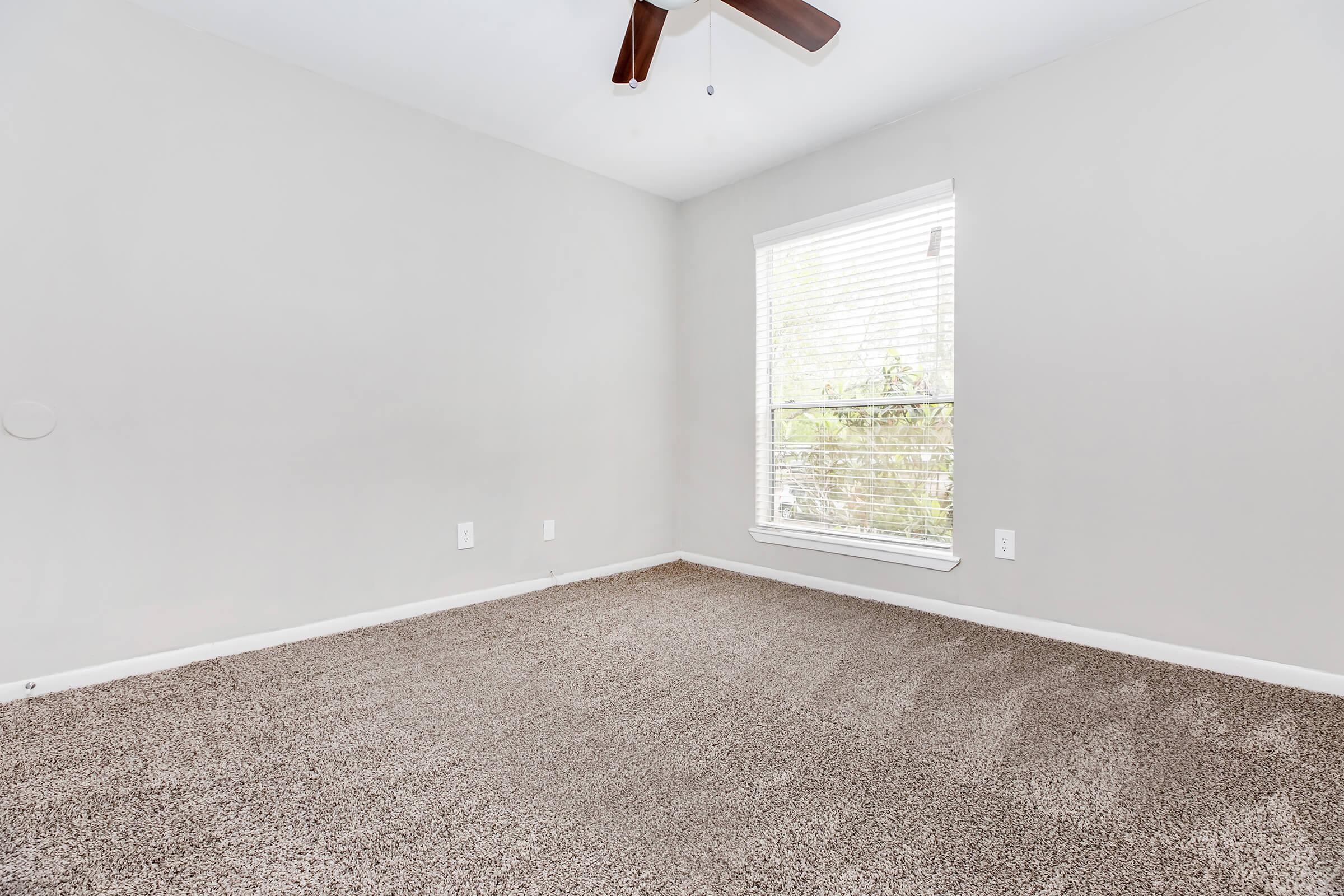 A minimalistic empty room with light gray walls and beige carpet. There is a ceiling fan visible, and a window with white blinds allowing natural light to enter. The overall ambiance is calm and bright, suitable for various uses.