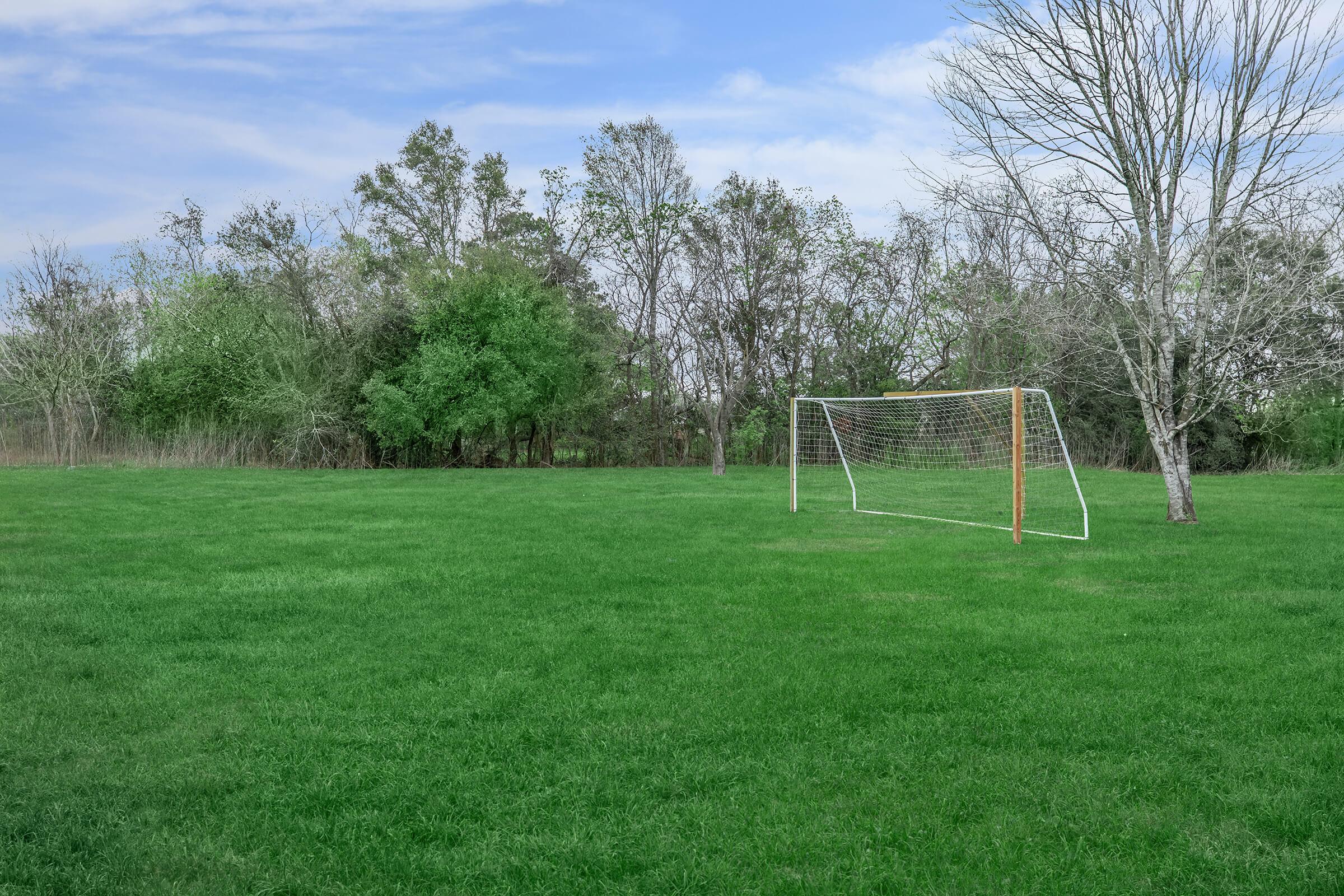 A grassy field with a soccer goal positioned on one side. In the background, there are sparse trees, some with leaves and others bare, against a clear blue sky. The scene conveys a peaceful outdoor setting, ideal for sports or recreation.