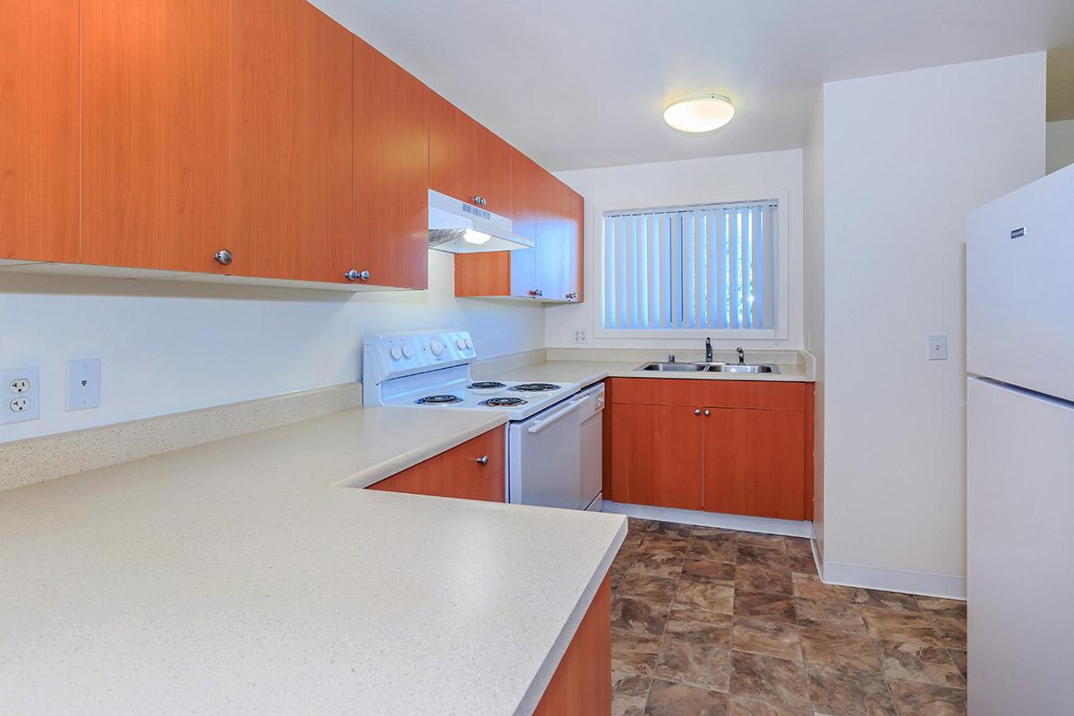 a kitchen with a stove sink and refrigerator