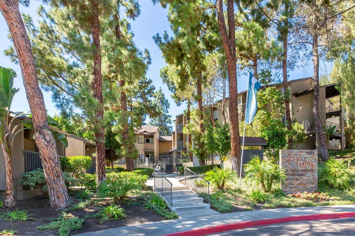 Exterior view of the Mesa Lofts apartment complex, featuring a pathway leading to the entrance, surrounded by lush greenery and tall pine trees. The complex is a two-story building with balconies, and a sign displaying the name "Mesa Lofts" is prominently placed near the walkway.