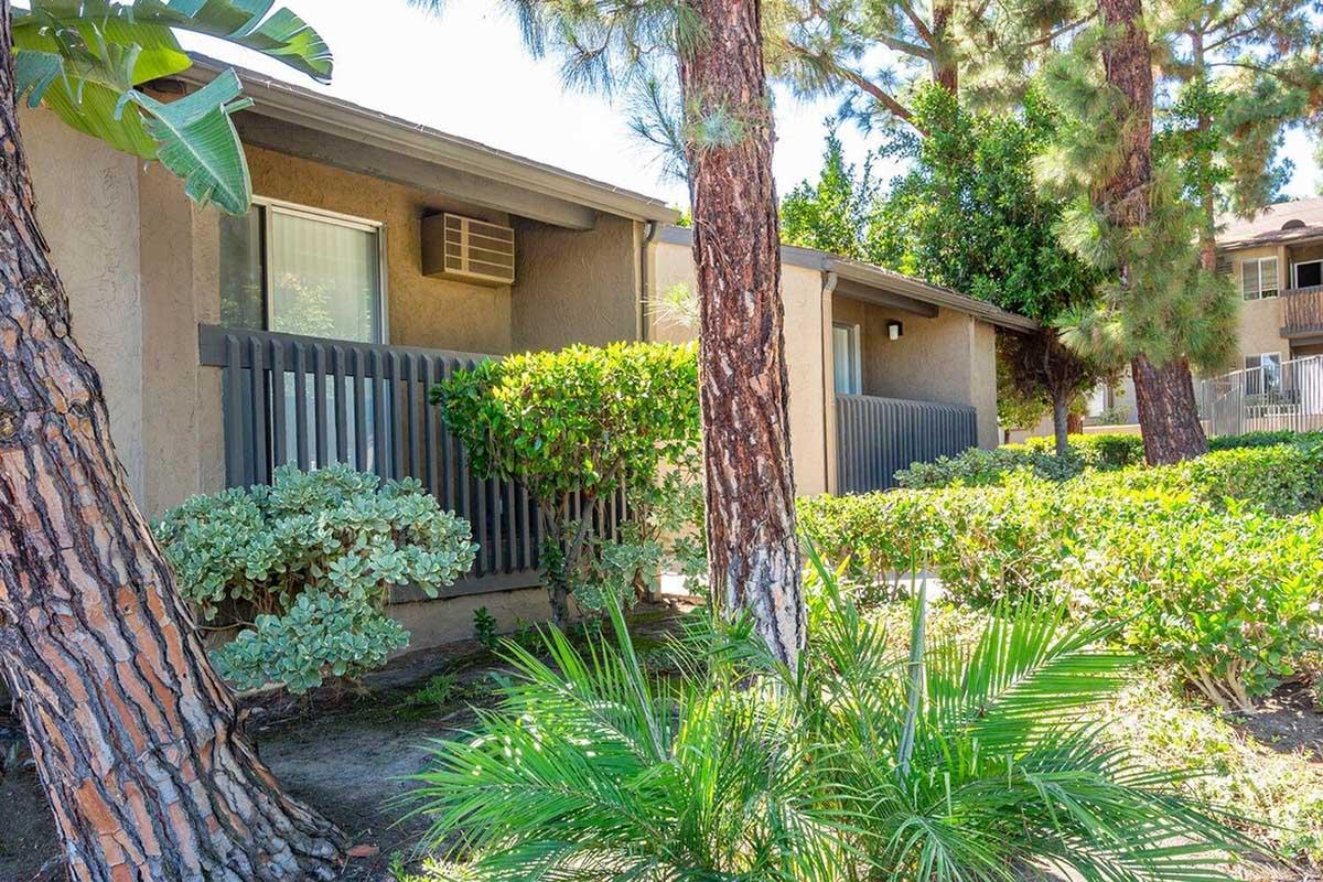 A scenic view of a residential area featuring two beige apartment buildings with gray fences. Surrounding the buildings are lush green shrubs and palm plants, along with tall pine trees casting gentle shadows. The setting showcases a serene, well-maintained outdoor space.