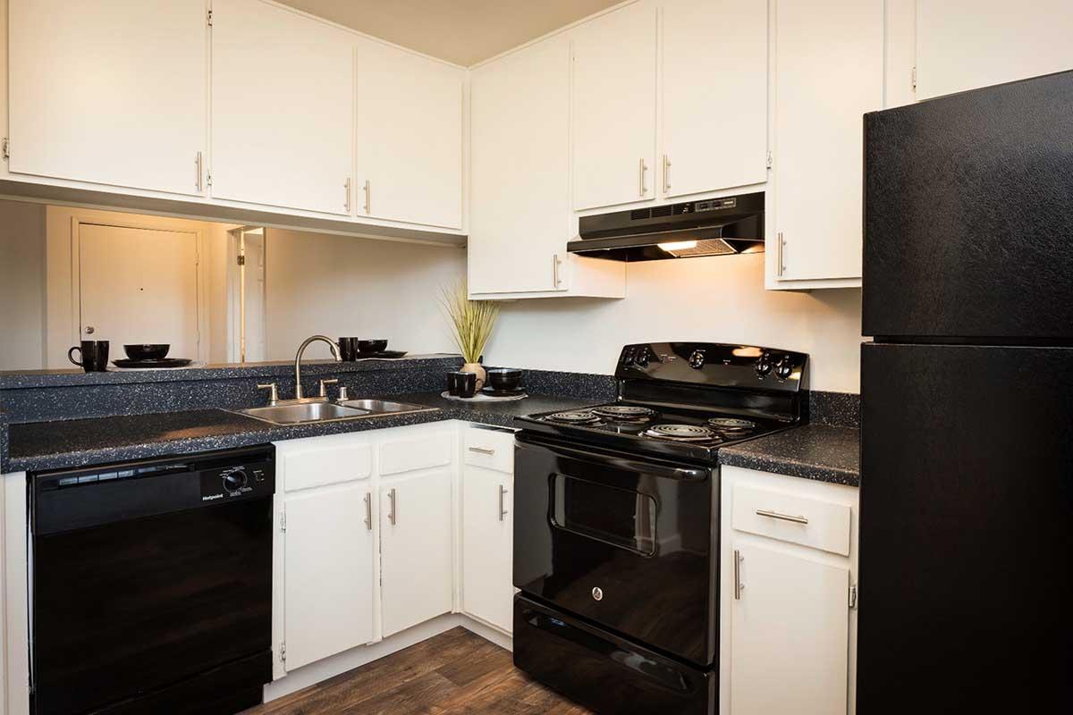 A modern kitchen featuring white cabinets, a black stove and refrigerator, a black dishwasher, and a double sink with a sleek countertop. The kitchen is well-lit and includes decorative elements like a plant and dishware on the countertop.