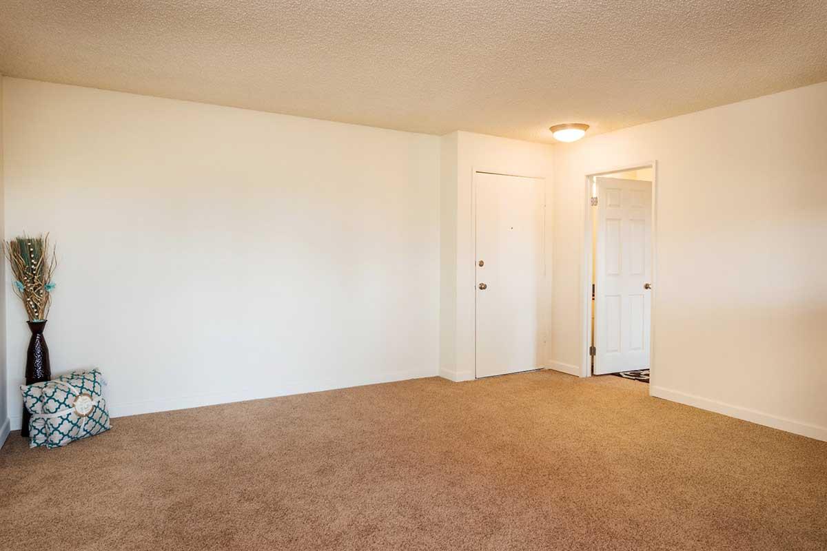 A spacious, empty room with beige carpet flooring, white walls, and a ceiling light. There is a decorative vase with peacock feathers in one corner and a closed door leading to another room. A closet door is visible on the right, while the overall feel is bright and inviting.
