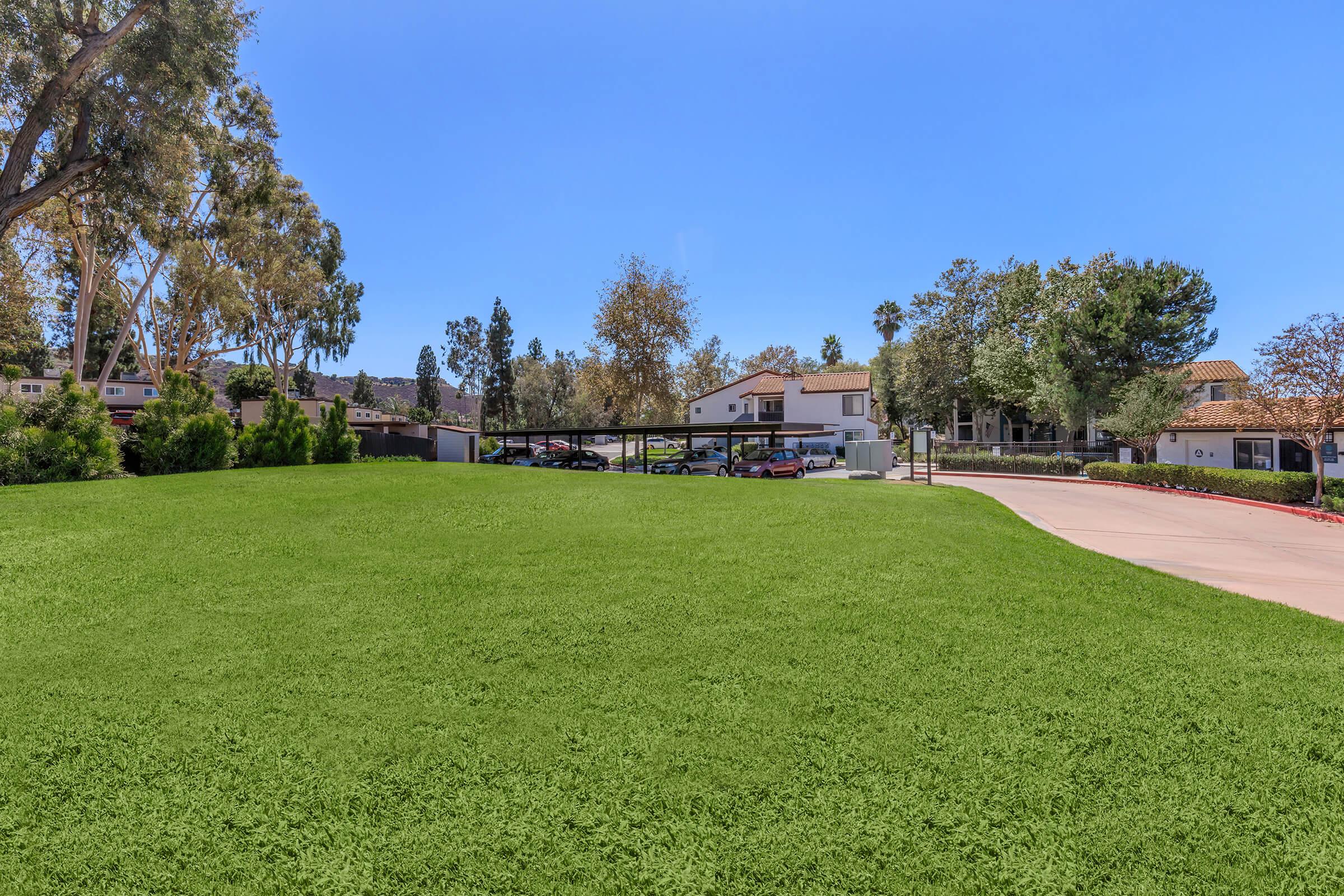 A panoramic view of a green lawn bordered by trees, with a residential area in the background featuring several parked cars under carports. The sky is clear and blue, indicating a sunny day.