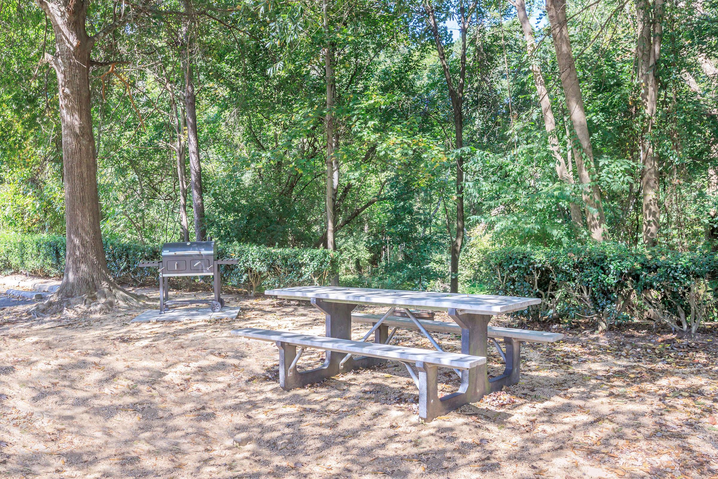 A picnic area in a forested setting featuring a wooden table with benches and a nearby grill. Sunlight filters through the trees, casting dappled shadows on the ground. The space is surrounded by lush greenery, offering a serene outdoor environment for gatherings.