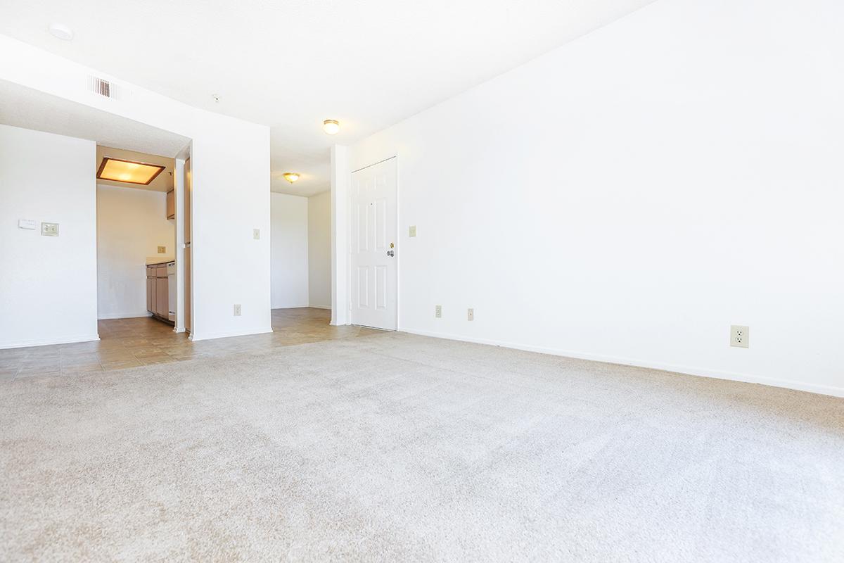 Carpeted living room