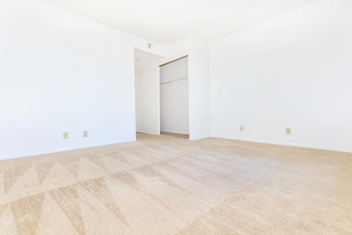 Bedroom with open closet door