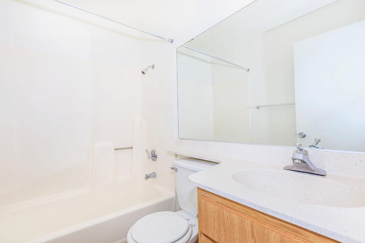 Bathroom with wooden cabinets