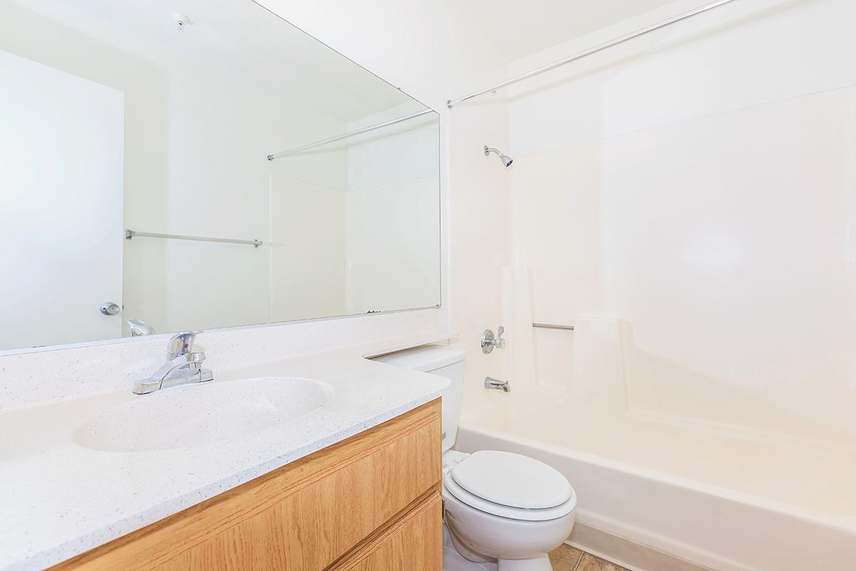 Bathroom with wooden floors