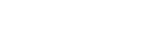 Stone Ridge ebrochure logo