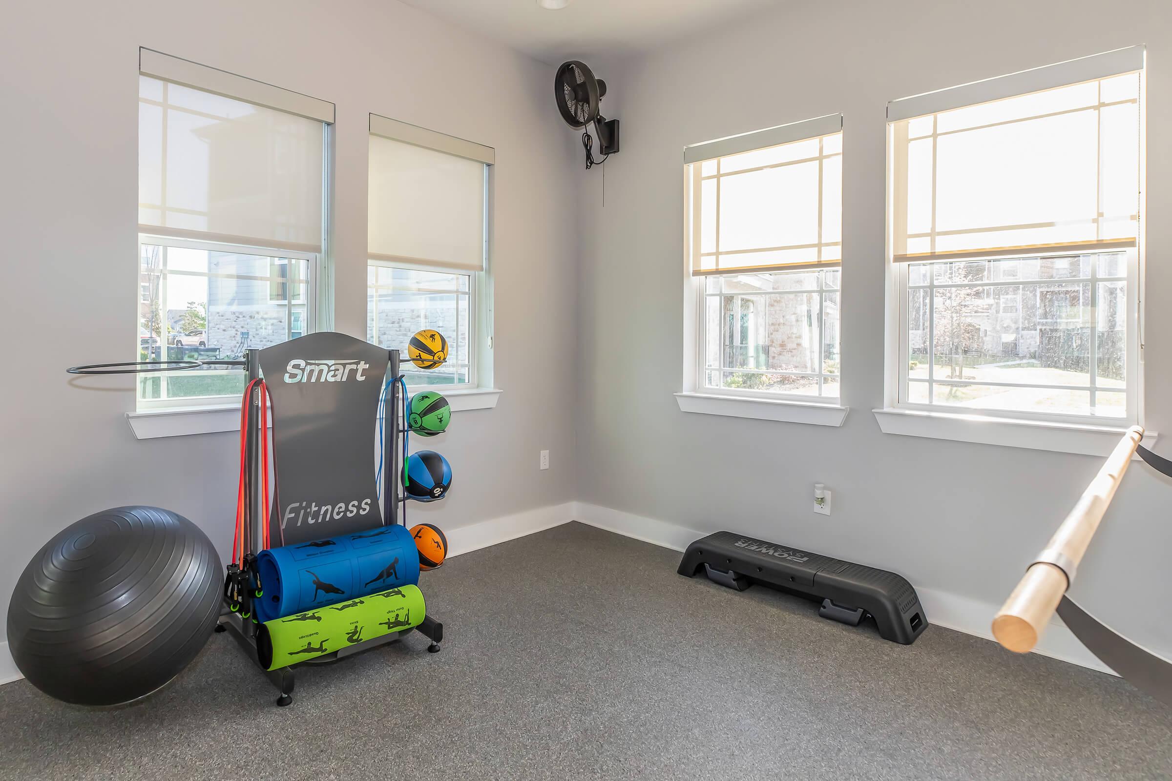 A well-lit home gym featuring fitness equipment including a stability ball, resistance bands, a step platform, and various exercise balls. The walls are painted light grey, and large windows provide natural light, creating a bright and inviting workout space.