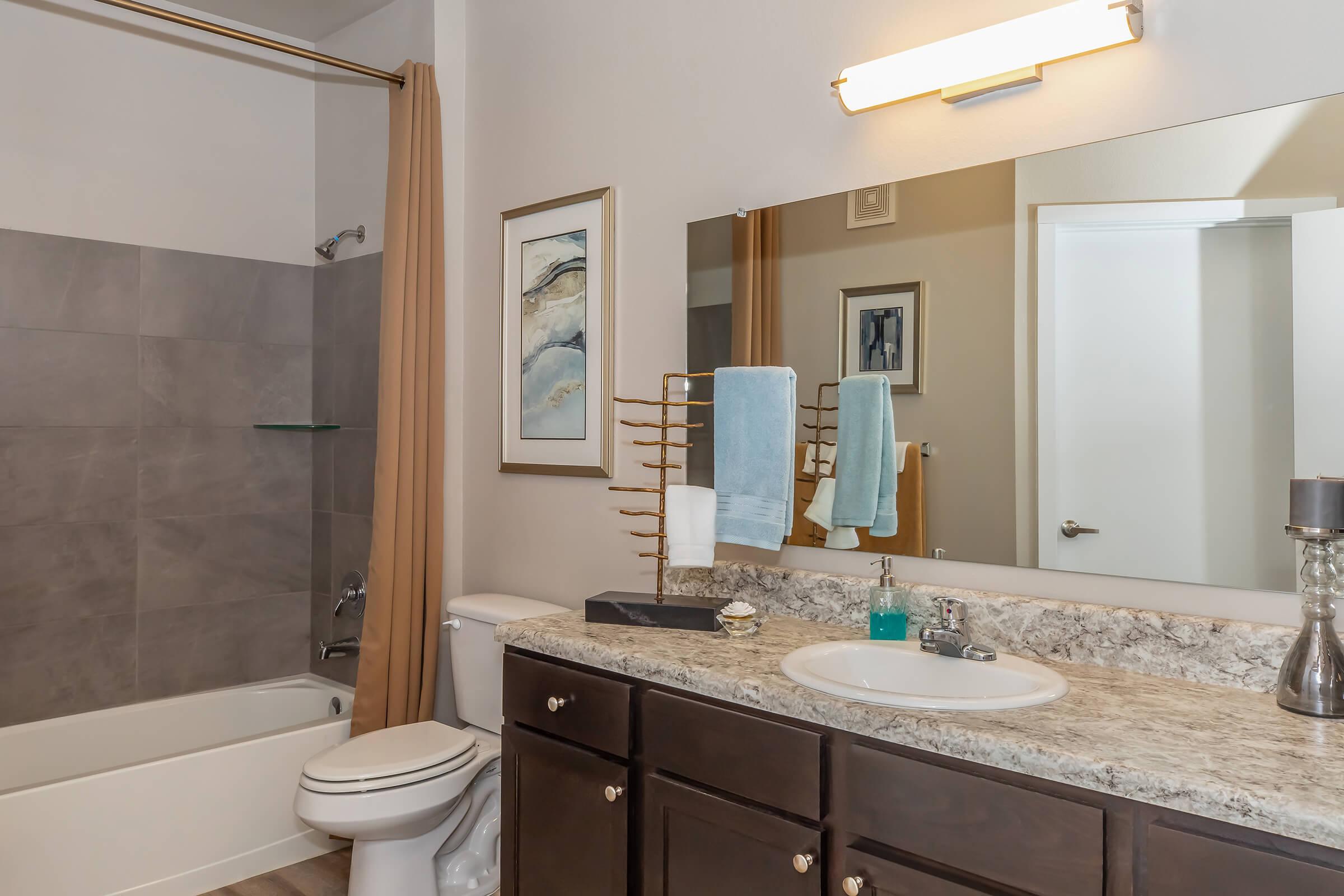 A modern bathroom featuring a beige and gray color scheme. It includes a bathtub with a shower curtain, a large vanity with a sink, and a wall-mounted mirror. The countertop is made of granite, and decorative items like towels and a small plant are arranged on the vanity. There is a soft ambient light from a wall fixture.