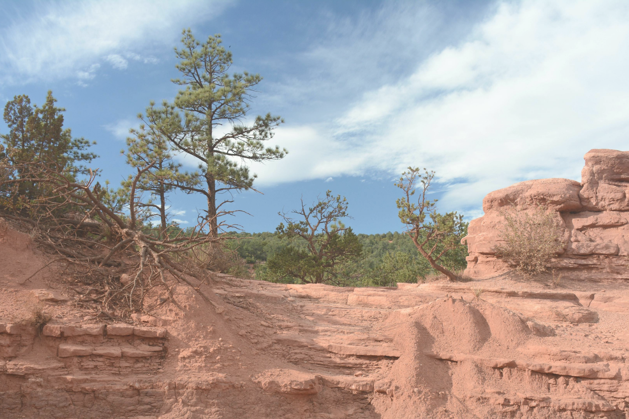 A rugged landscape featuring reddish rock formations and a few scattered trees. The sky is blue with some wispy clouds, and there are patches of greenery in the background. The terrain shows signs of erosion, with exposed roots and uneven rock surfaces.