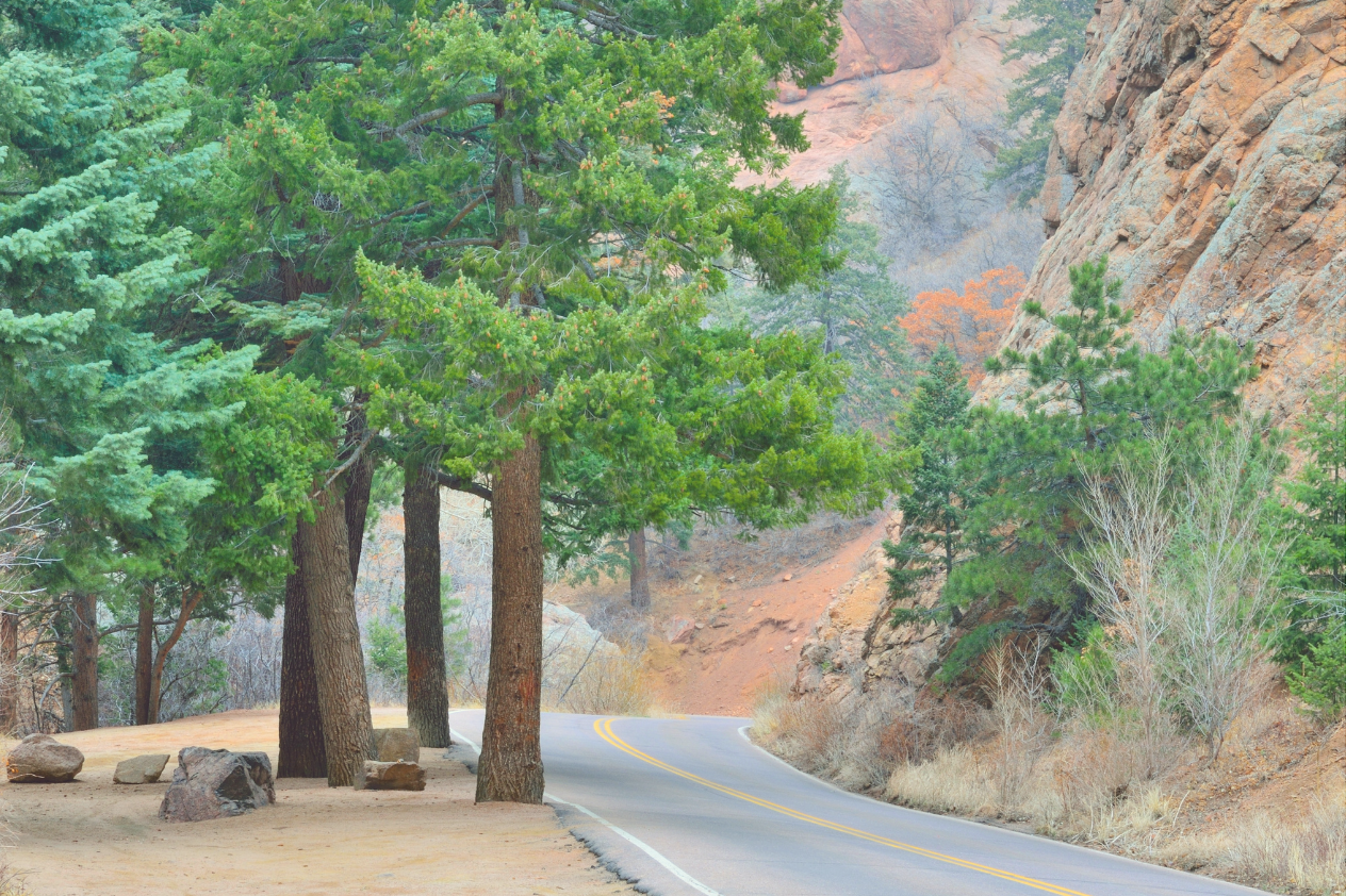 A winding road surrounded by tall green trees and rocky cliffs. The scene features a mix of evergreens and deciduous trees, with autumn colors visible in the background. The road curves gently, inviting exploration amidst a serene natural setting.