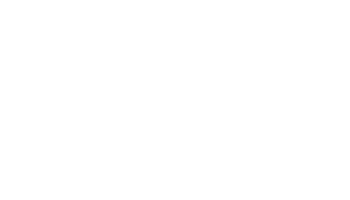 Village at New South End ebrochure logo