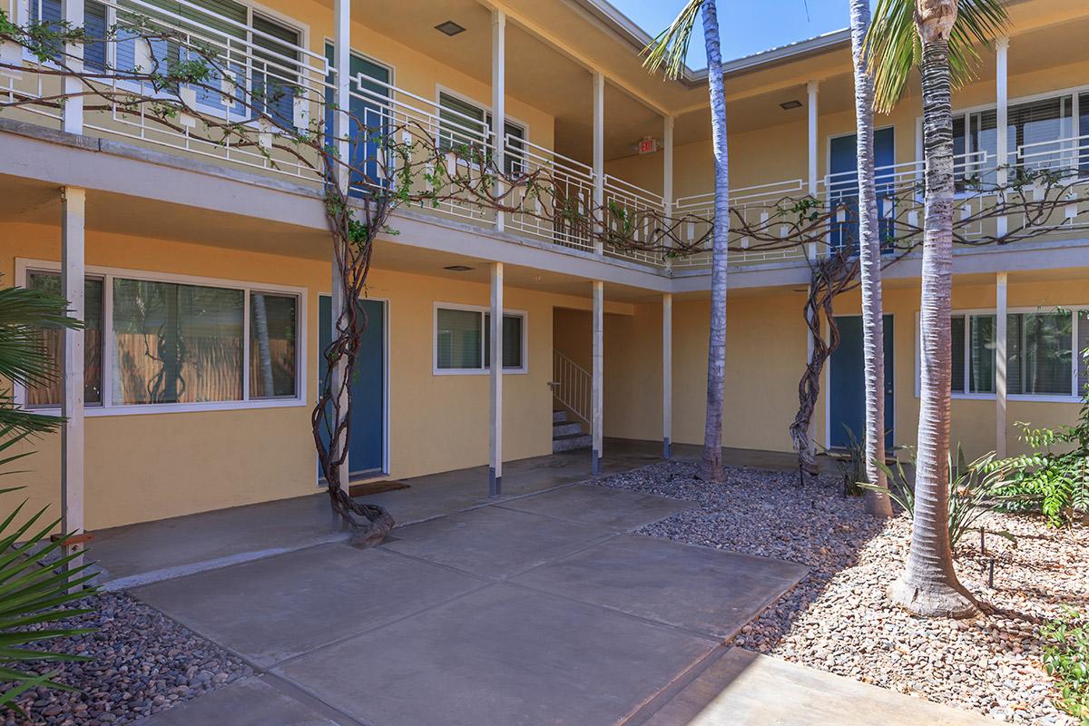 a palm tree in front of a building