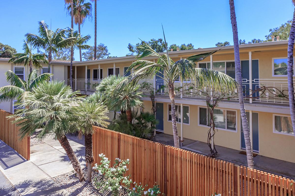 a palm tree in front of a building