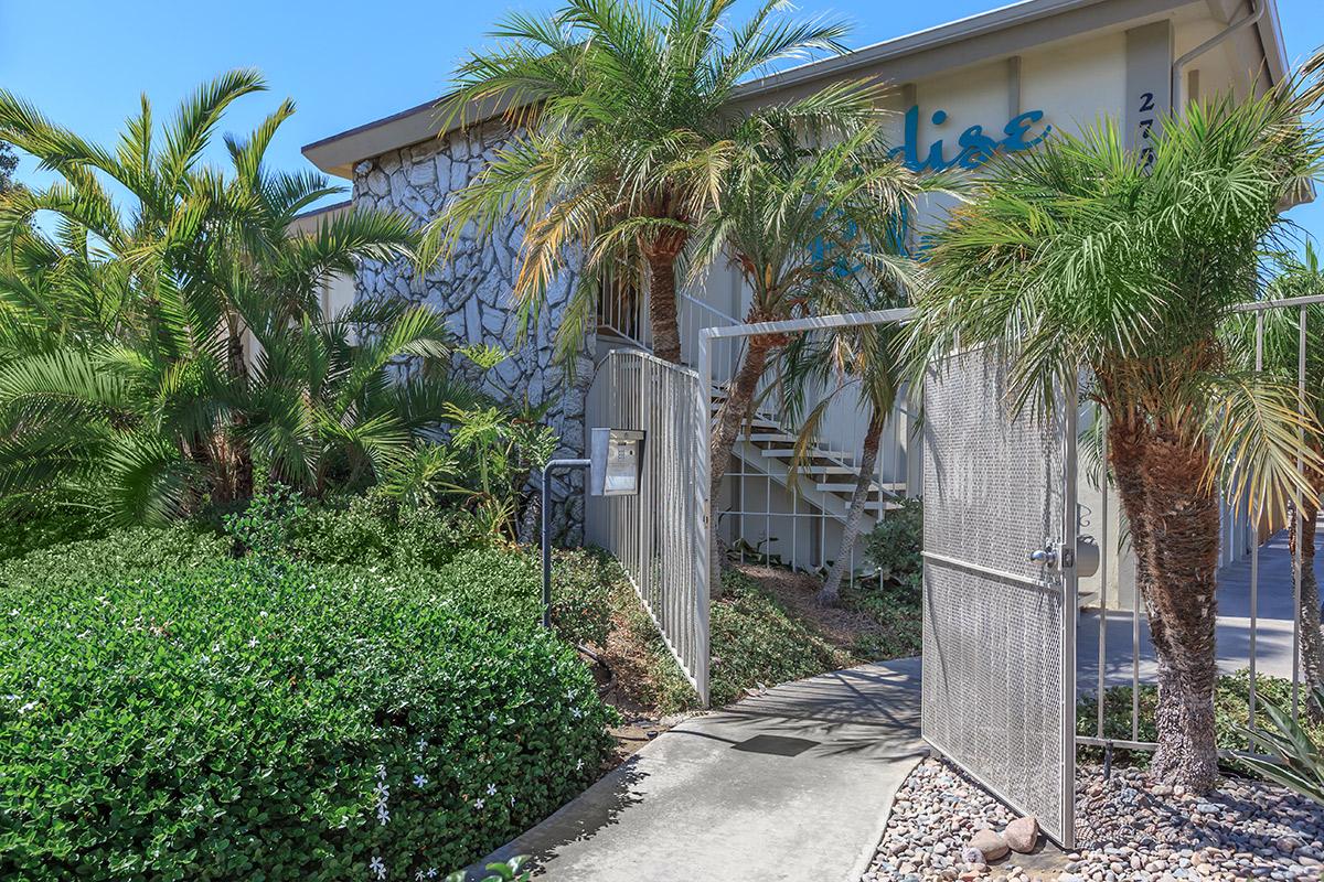 a palm tree in front of a building