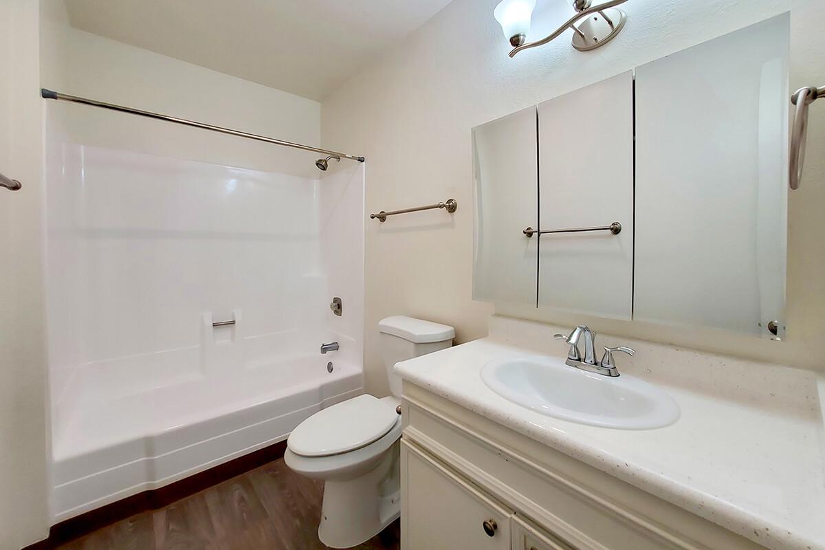 a shower that has a sink and a mirror