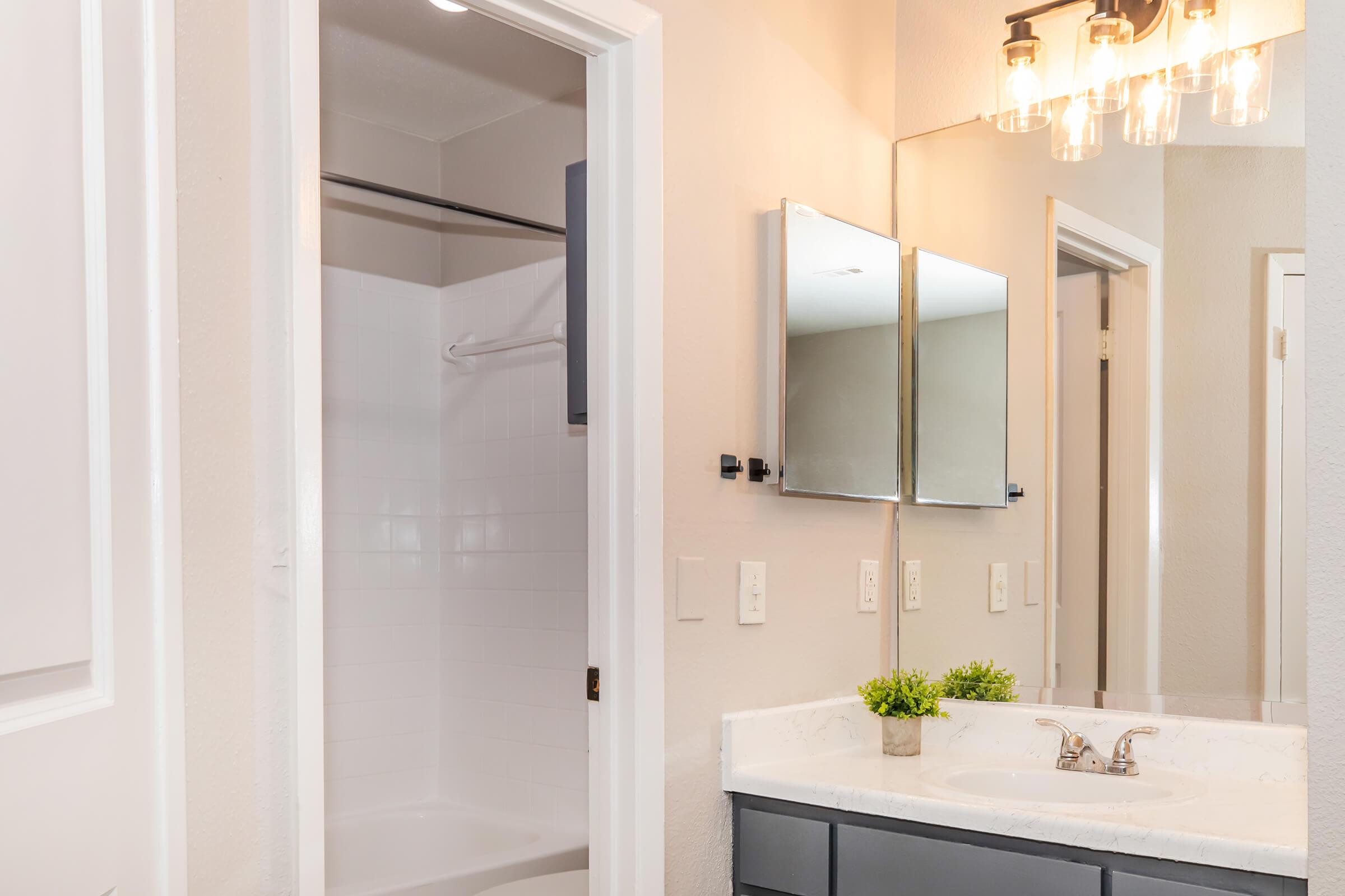 Modern bathroom with a walk-in shower, a double vanity with a white countertop, and decorative plants. Bright lighting fixtures hang above the mirrors, reflecting a clean and minimalist design. The walls are painted in a neutral tone, enhancing the spacious feel of the room.