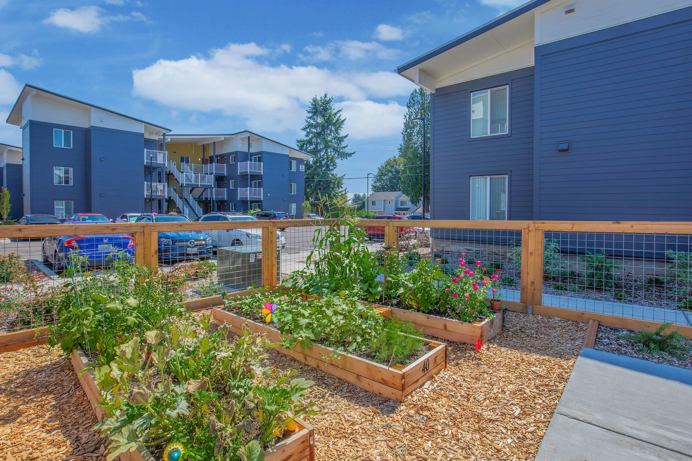 A community garden featuring wooden raised beds filled with a variety of plants and flowers. In the background, there are two modern apartment buildings with balconies and a parking area. The sky is bright blue with a few clouds, creating a sunny and inviting atmosphere.
