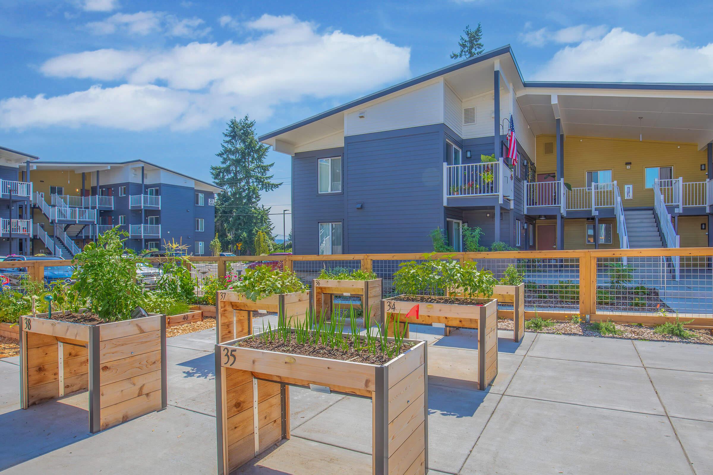 A vibrant community garden featuring raised wooden planters filled with various plants, situated in front of a modern apartment building. The building has multiple levels, balconies, and a balcony with a flag. Clear blue skies and greenery create a welcoming atmosphere.