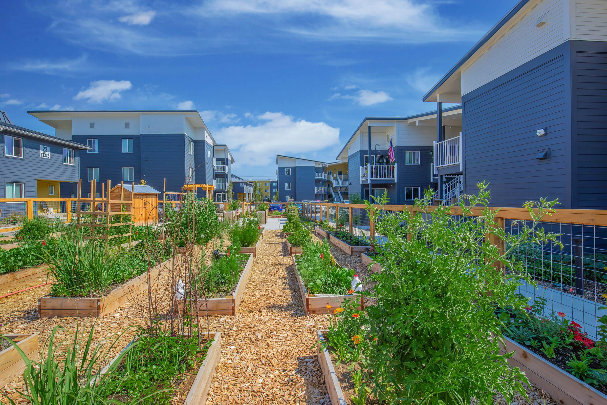 Community garden with raised beds filled with various plants, surrounded by modern residential buildings. The scene is bright and sunny, with blue skies and a few clouds visible. Paths made of wood chips lead through the garden, creating a vibrant and inviting atmosphere.