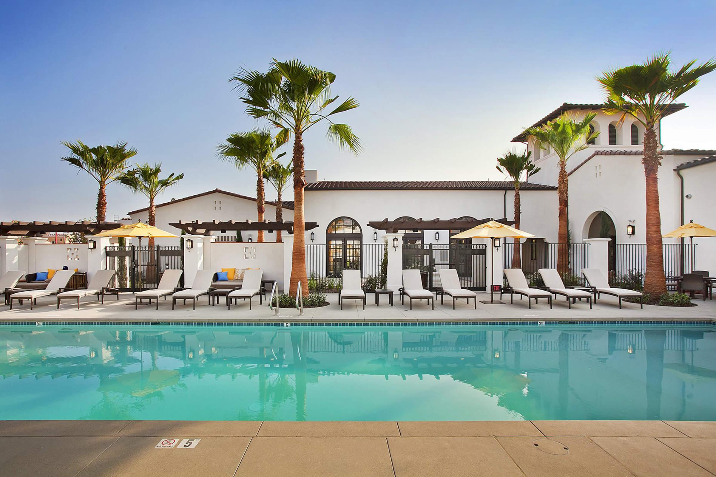 a large pool with chairs and palm trees