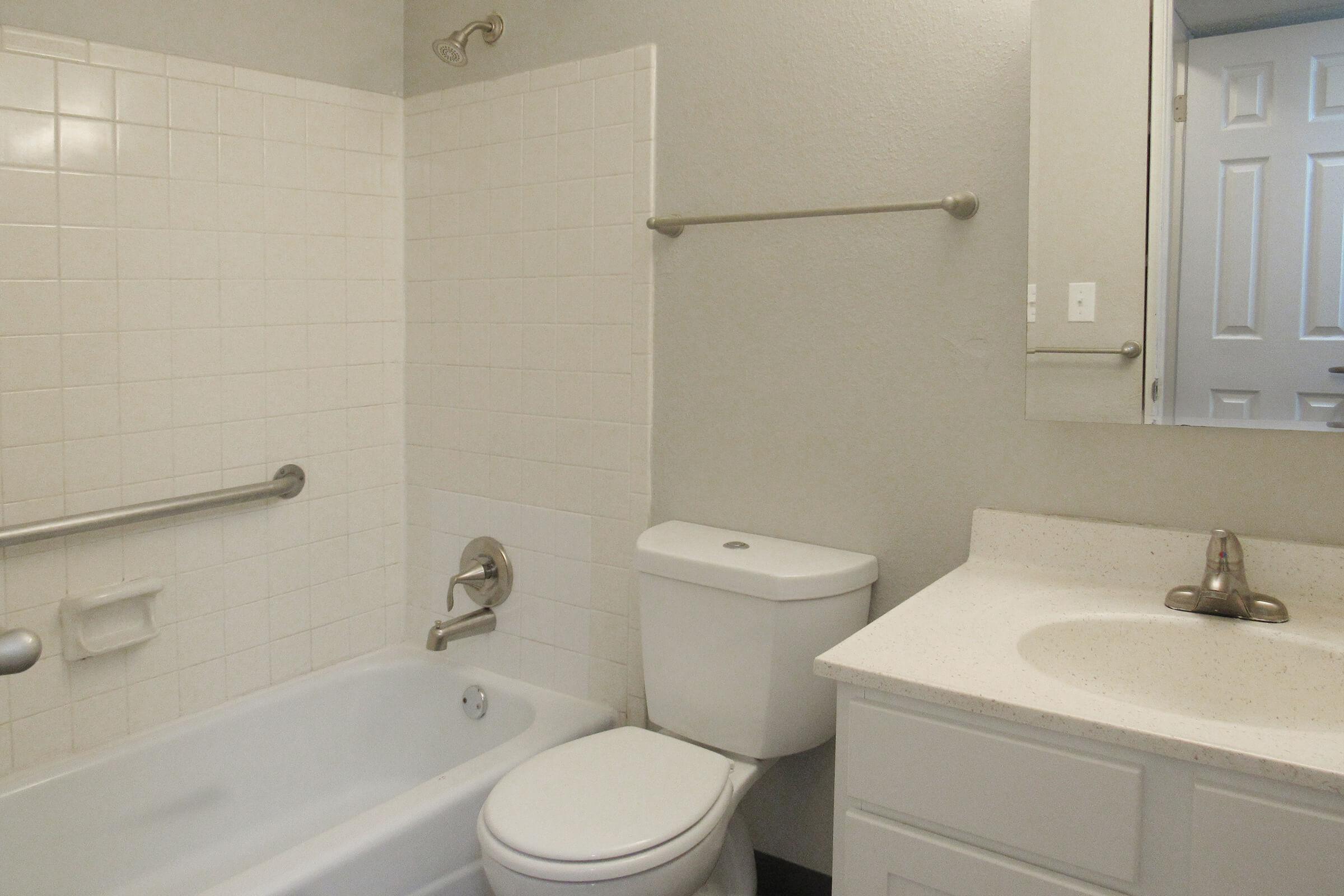 a sink and a mirror