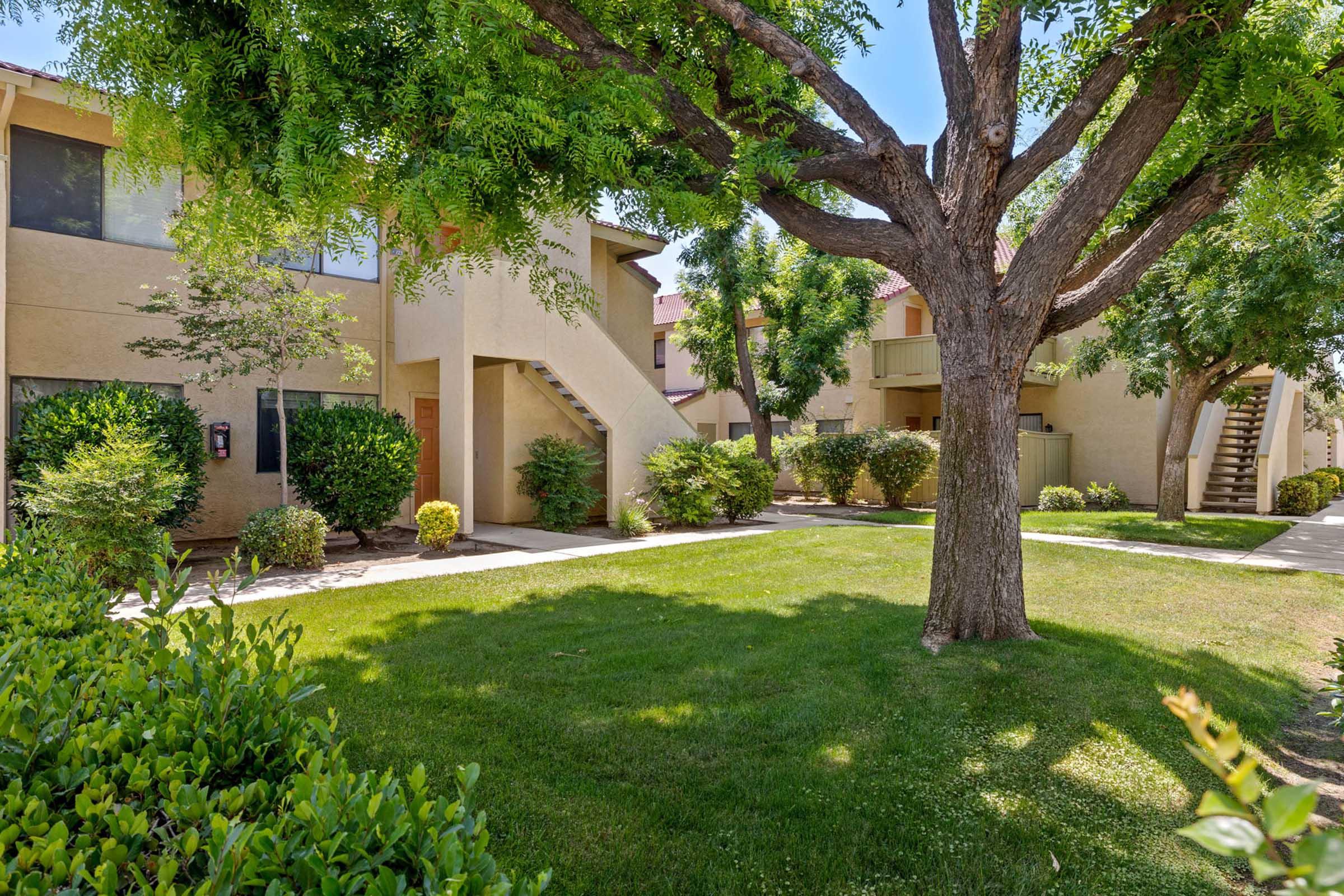 A landscaped area of an apartment complex featuring green grass, trimmed bushes, and young trees. Two-story buildings with exterior staircases are visible in the background, under a clear blue sky. The scene conveys a peaceful and well-maintained residential environment.