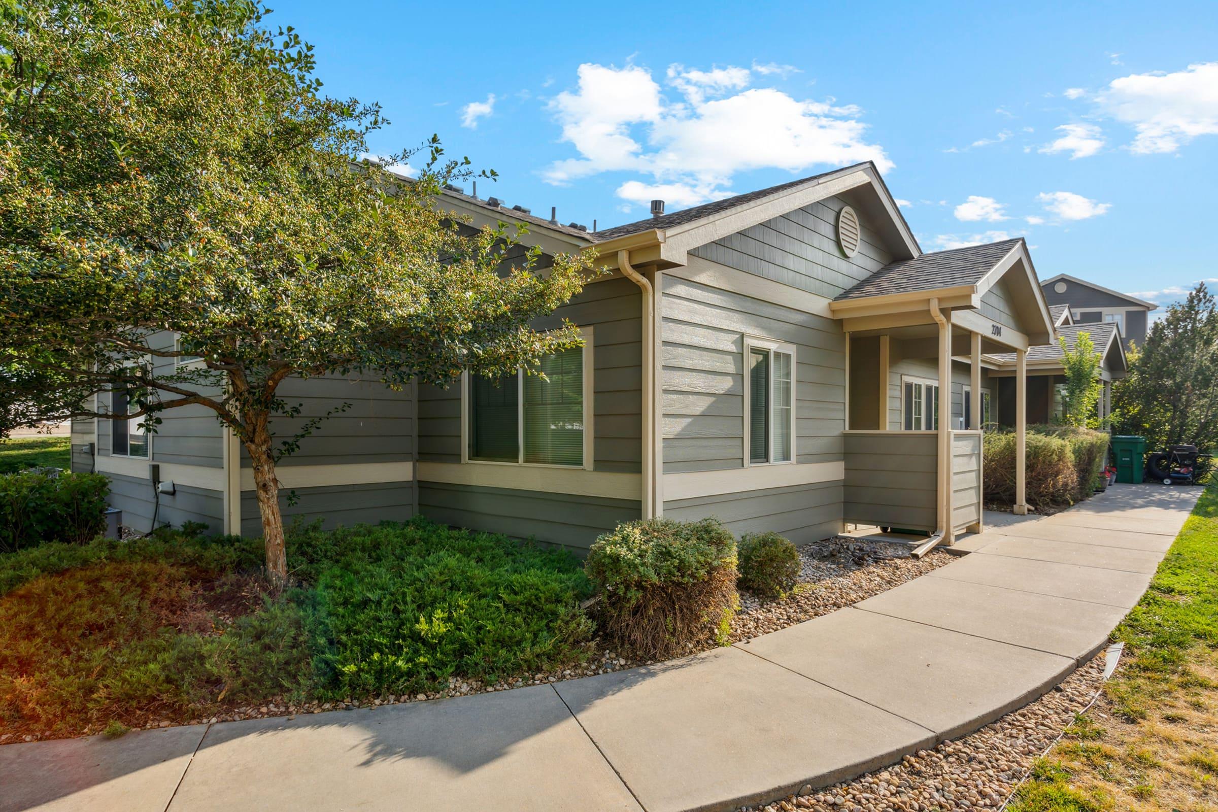 A modern single-story home with gray siding, large windows, and a front porch. The well-manicured landscape features shrubs and a concrete pathway leading to the entrance. Bright sunlight highlights the scene, creating a welcoming atmosphere.