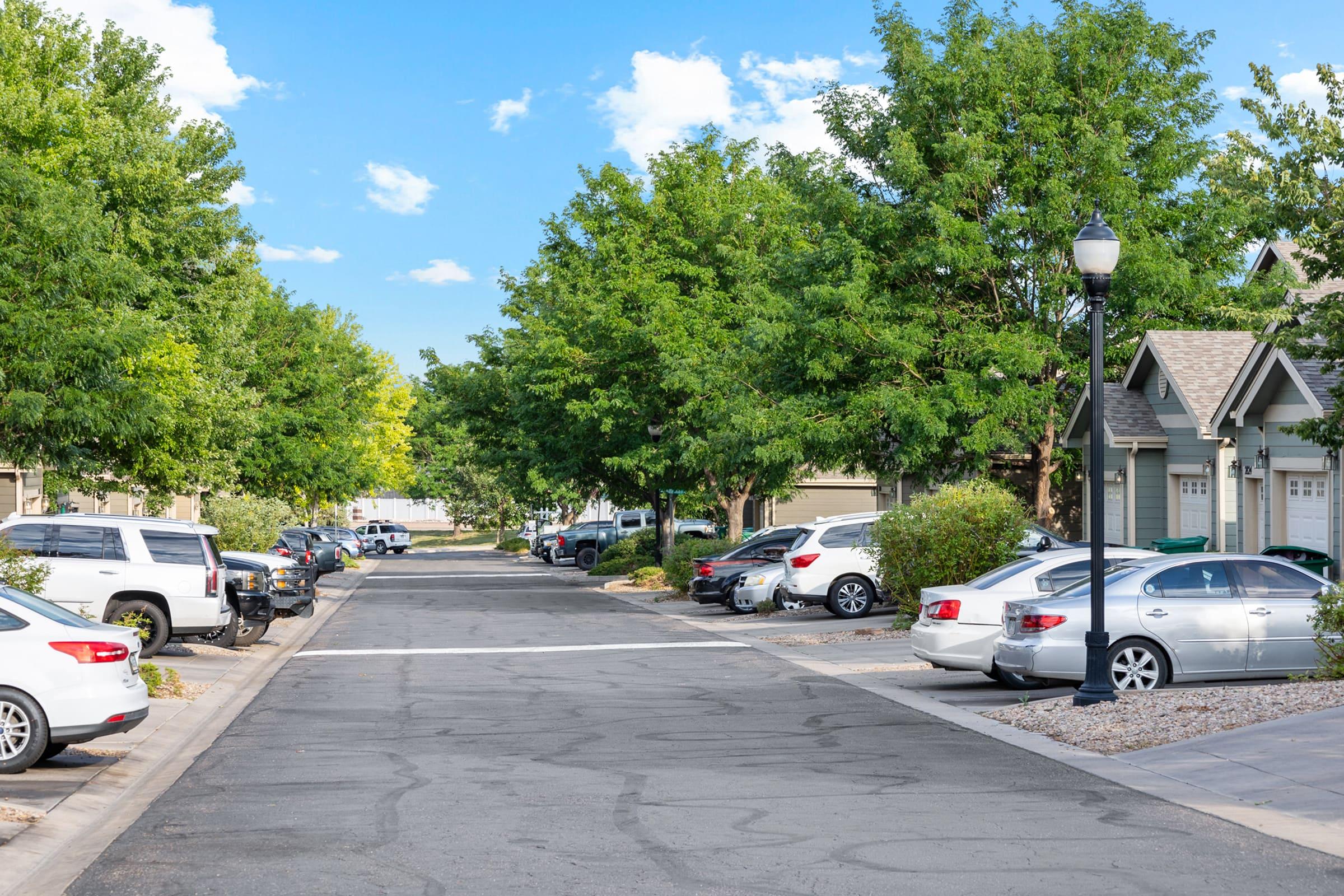 A peaceful residential street lined with trees and parked cars on both sides. The road is partially shaded with clear blue skies and fluffy clouds overhead. Houses with well-maintained exteriors are visible, creating a quiet suburban atmosphere.