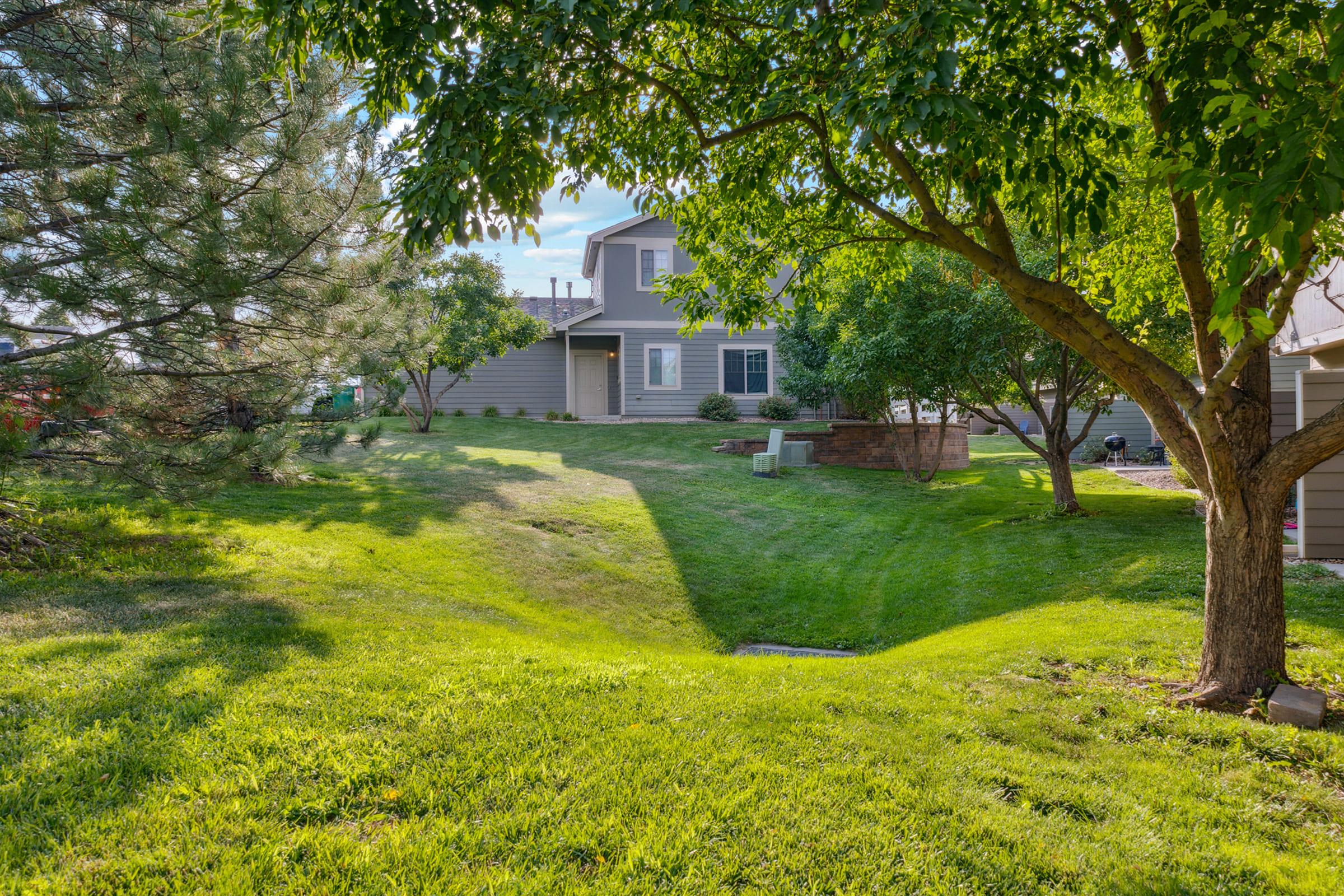 A well-maintained residential backyard with lush green grass, trees, and shrubs. A house is visible in the background, surrounded by landscaping. Sunlight illuminates the area, creating a serene and inviting outdoor space.