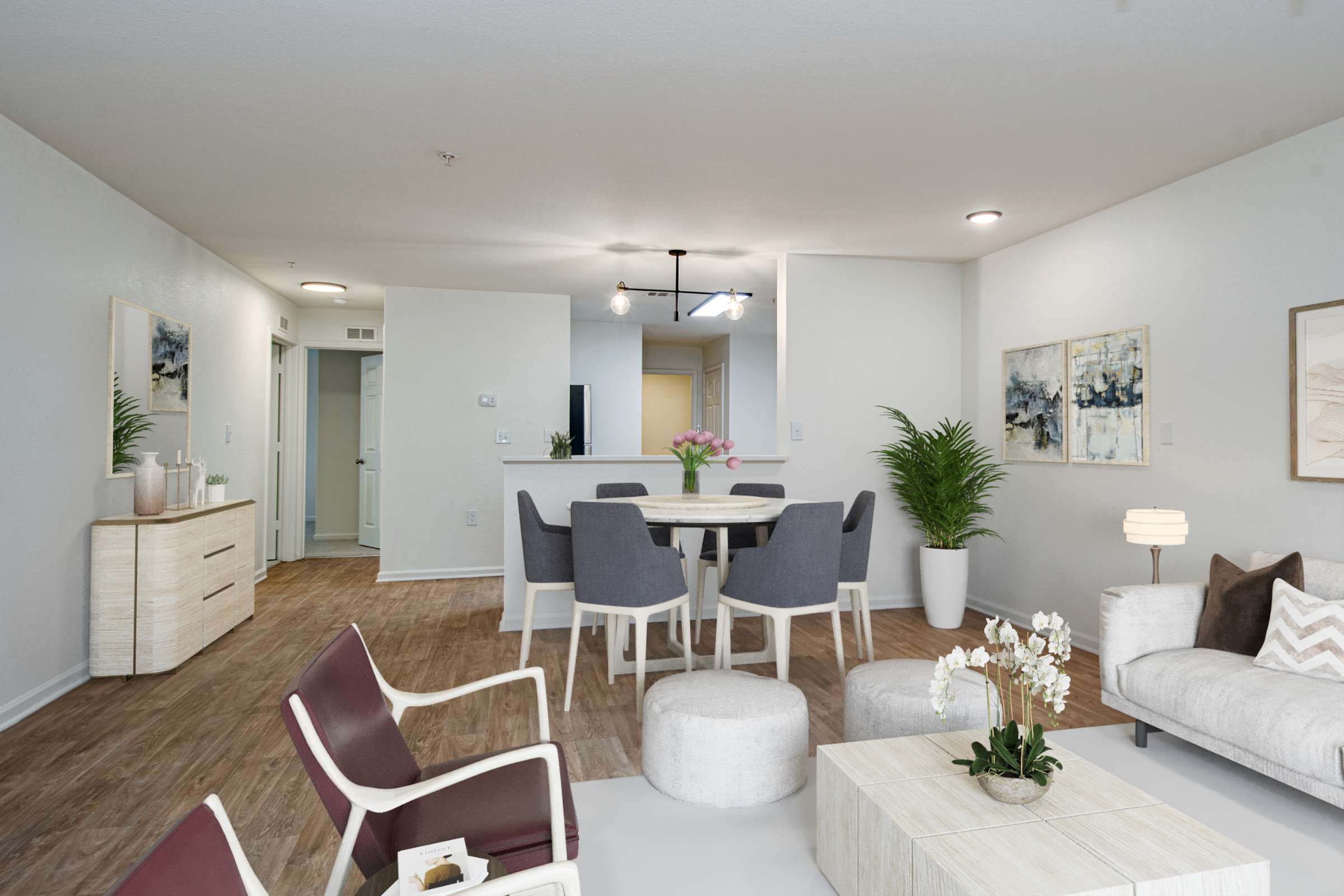 Apartment Features