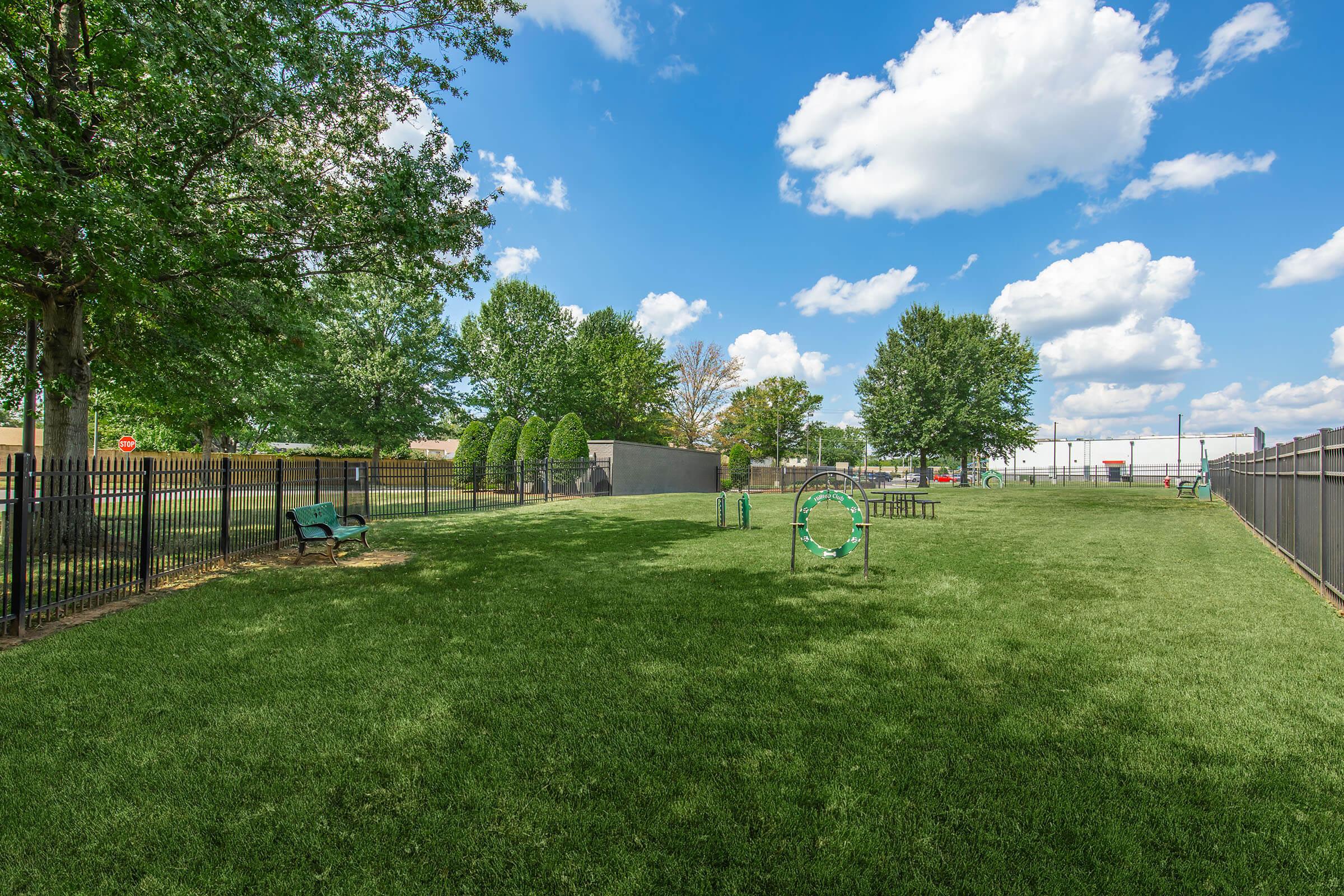 A spacious grassy area with a blue sky and fluffy clouds. There are several trees and two benches along the perimeter. In the middle, there's an agility ring for dogs and other training equipment, bordered by a black fence.