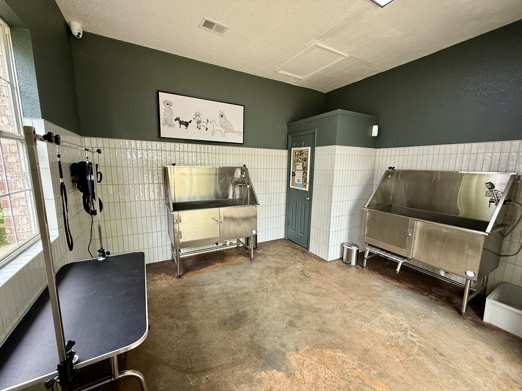 An interior space designed for pet grooming, featuring two stainless steel grooming tubs, a wash station with drying equipment, and a countertop. The walls are painted a dark green, with white tiled sections. A poster of cartoon dogs hangs on the wall, and there is a storage cabinet in the corner.