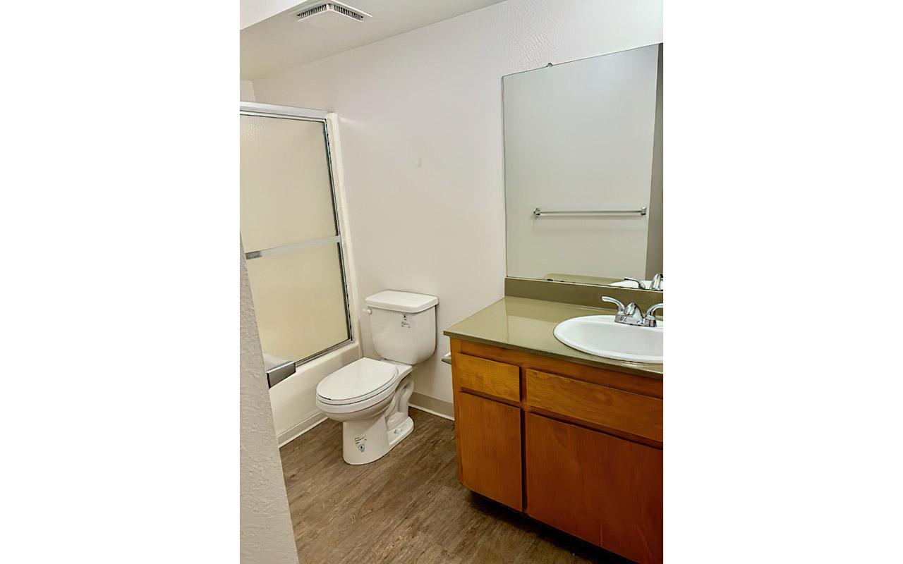 A clean, well-lit bathroom featuring a shower stall, toilet, and a vanity with sink and mirror. The walls are painted white, and there is wooden cabinetry under the sink. The flooring appears to be a wood-like material.