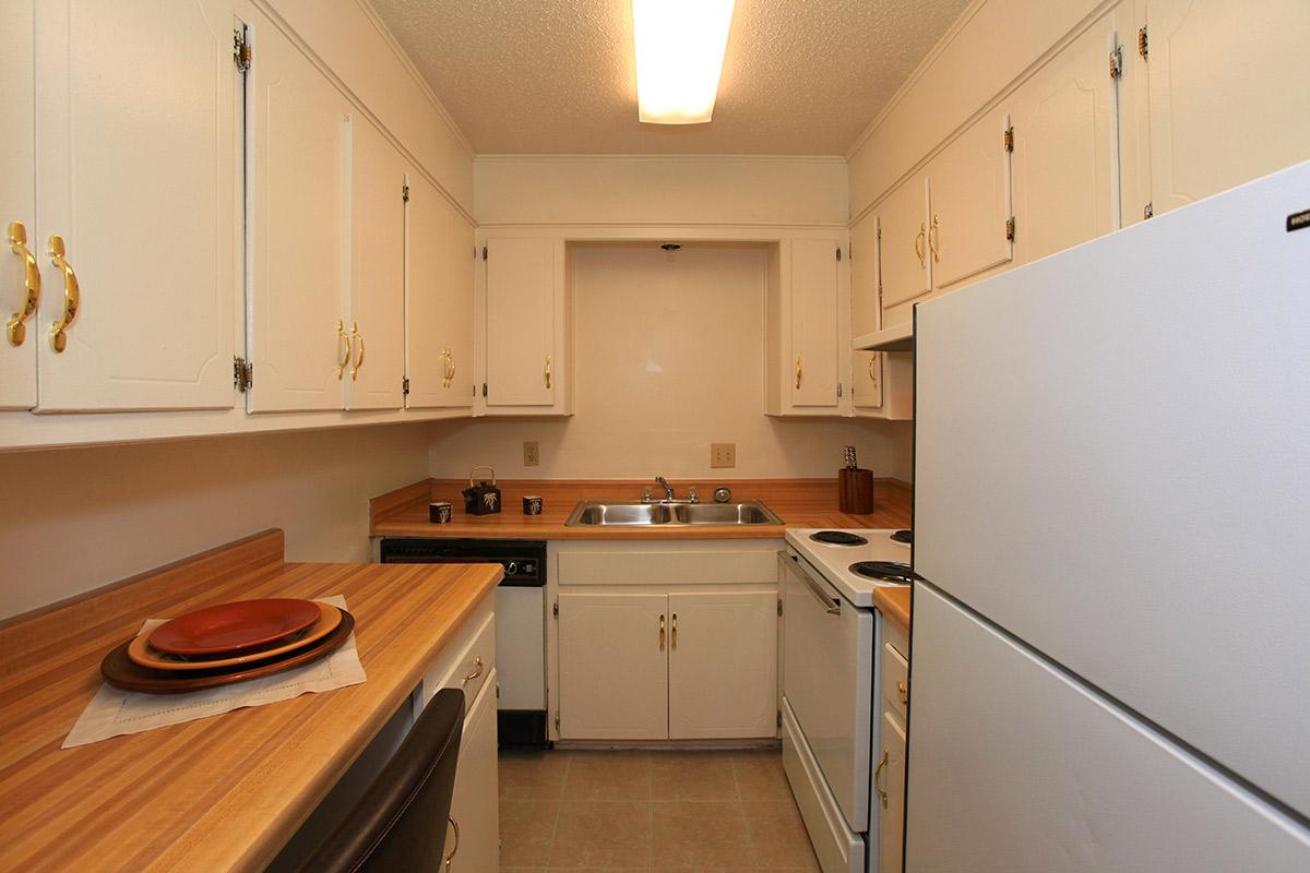 a kitchen with a stove and a refrigerator