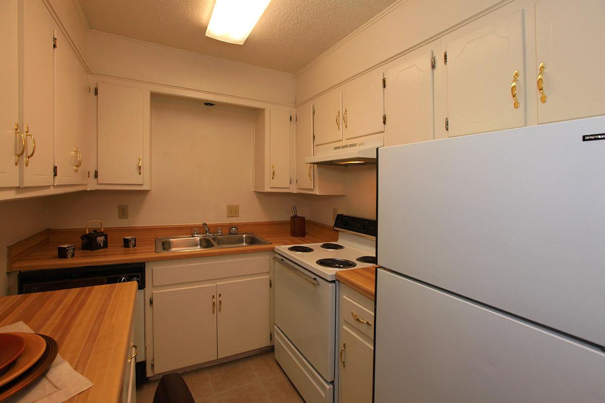 a kitchen with a stove and a refrigerator