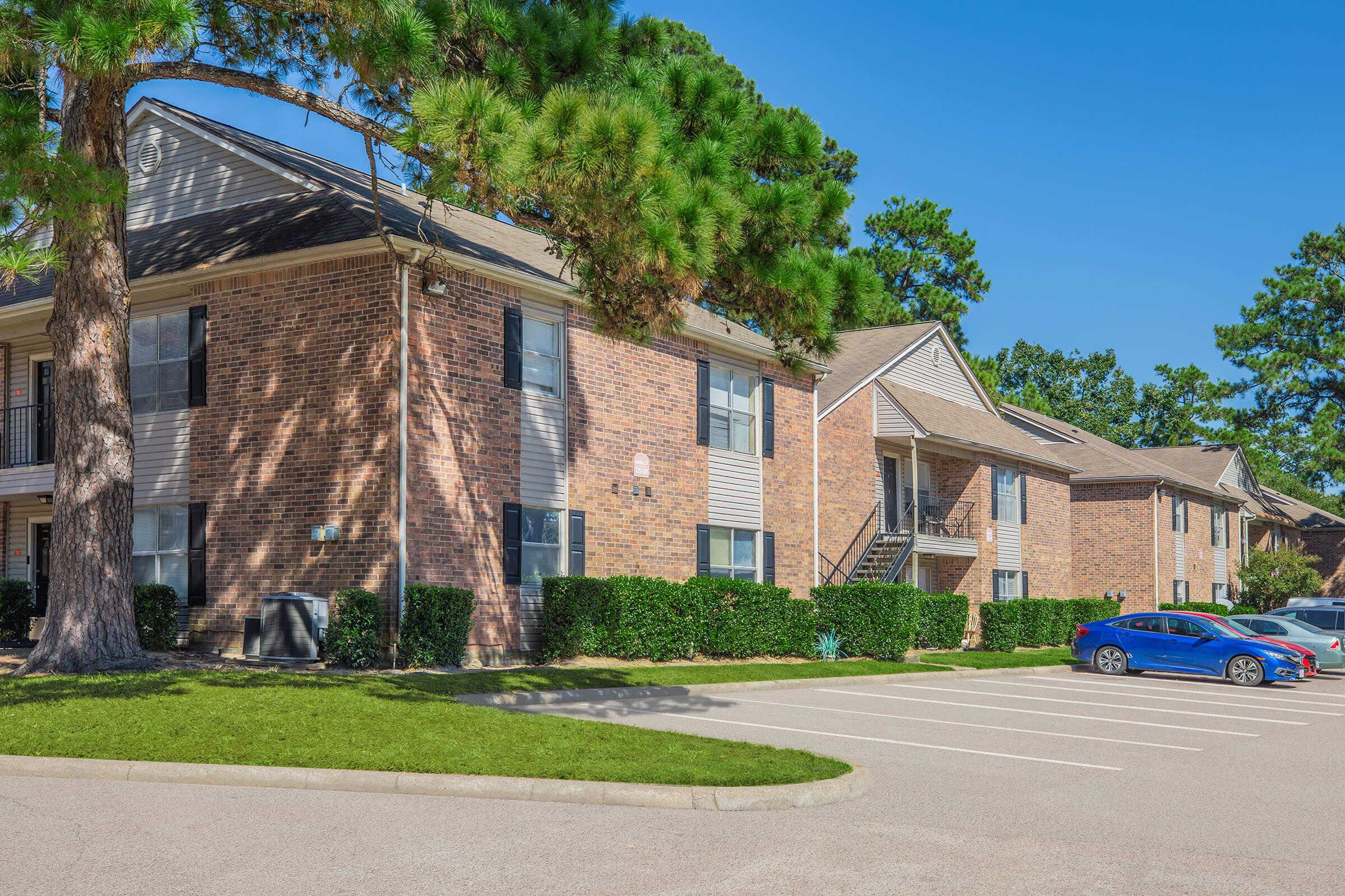 A row of brick apartment buildings with green lawns and shrubs, surrounded by tall pine trees. A blue car is parked in the foreground along a marked parking lot, set against a clear blue sky.