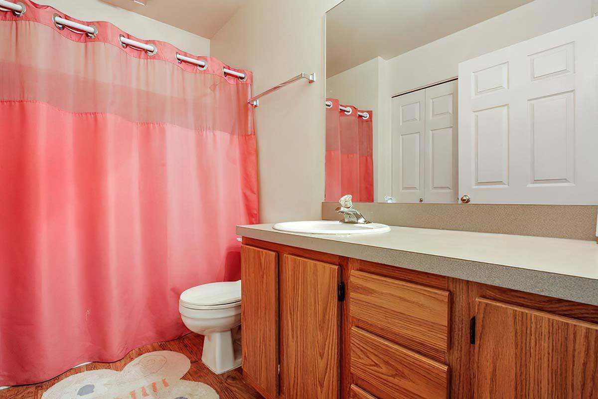 A bathroom featuring a light pink shower curtain, a white toilet, and a sink with wooden cabinets. The room has neutral walls and a mirror above the sink. There is a door leading to a closet in the background, and a circular rug on the floor.