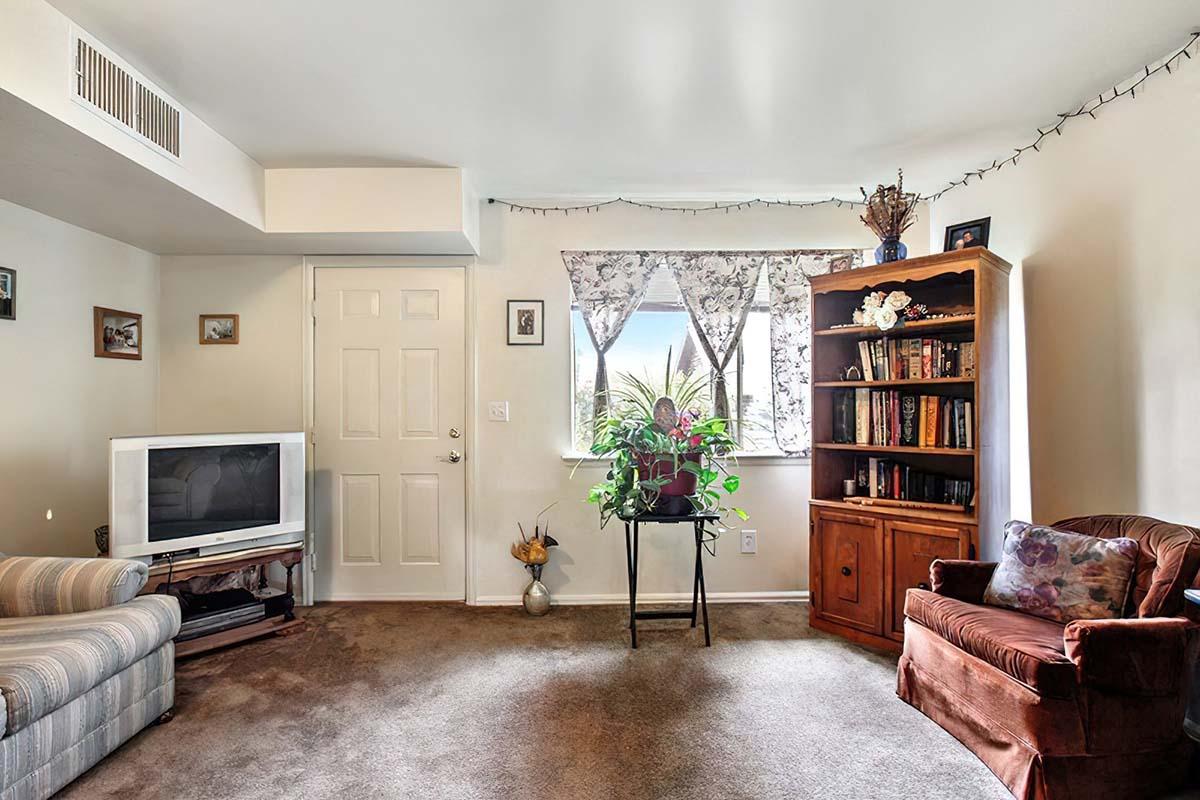 A cozy living room featuring a striped sofa, armchair, and a television. There is a wooden bookshelf filled with books, a small table with a potted plant, and a window with sheer curtains letting in natural light. The carpeted floor adds warmth to the space, while wall decor provides a personal touch.